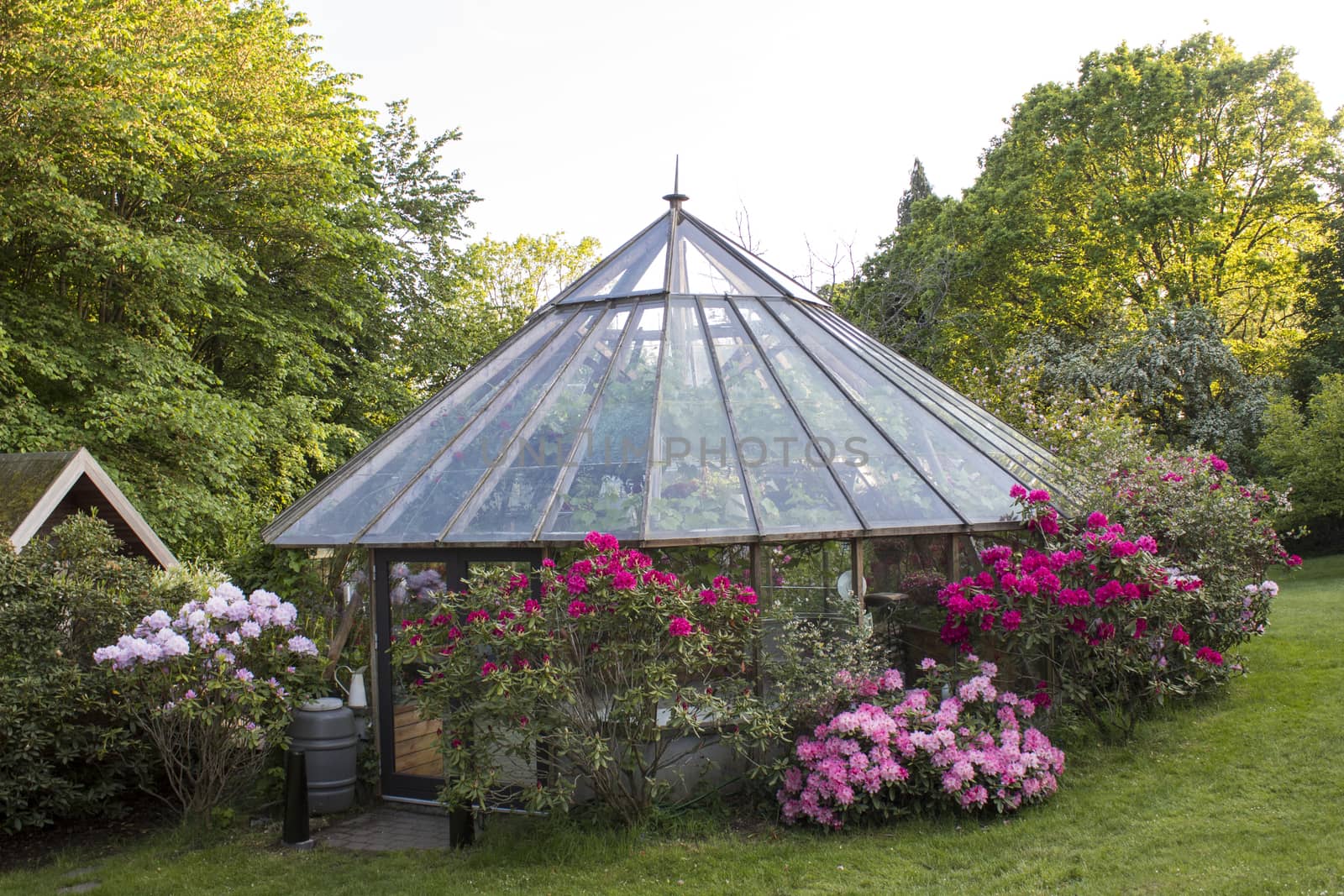 Home build greenhouse in a garden by bluiten