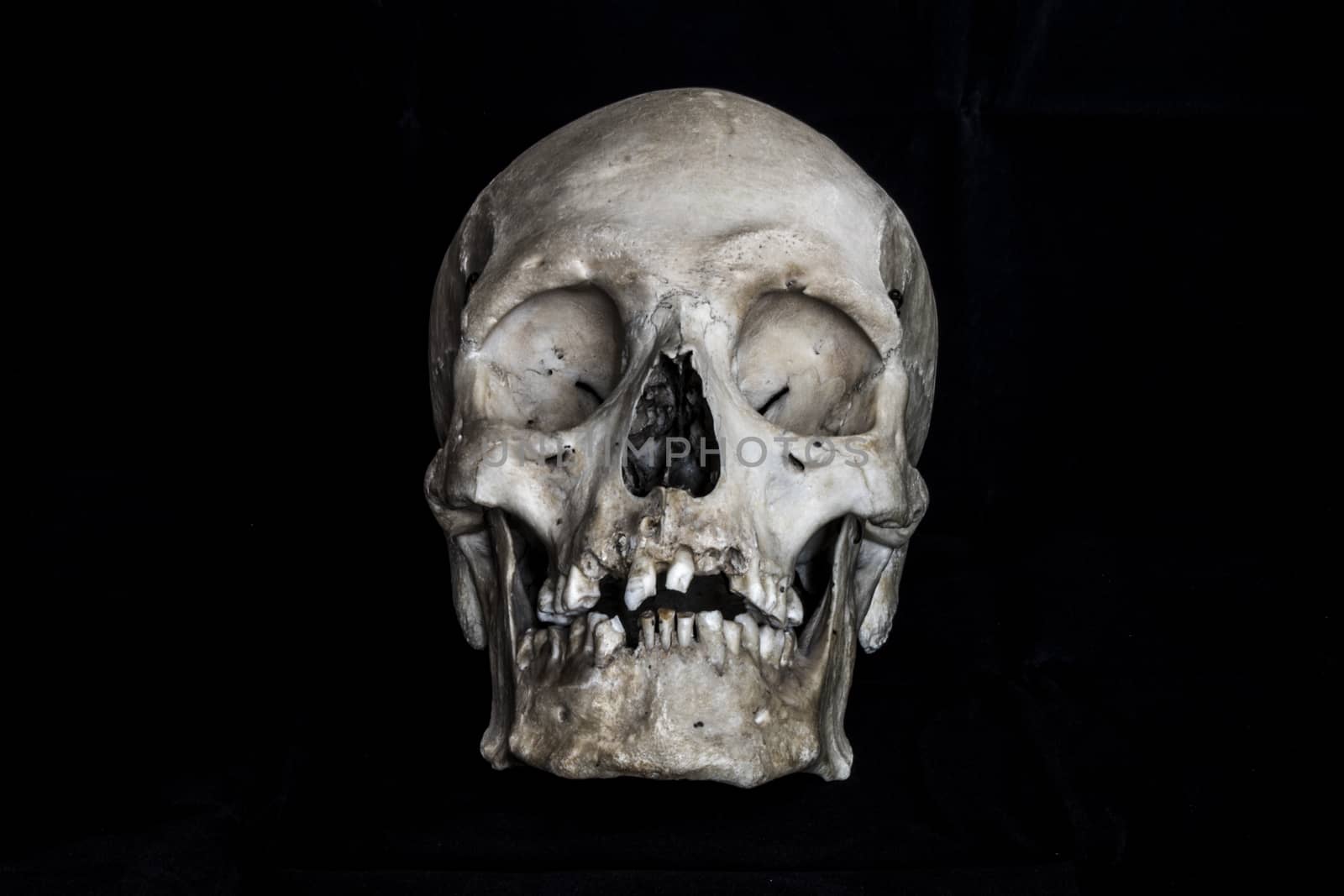 Human skull on black background by bluiten