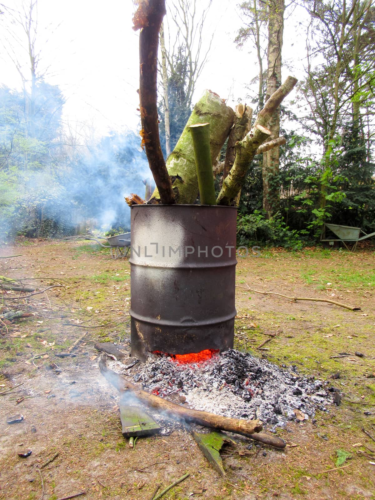 Barrel being used to burn excess wood inside a forrest in a clearing