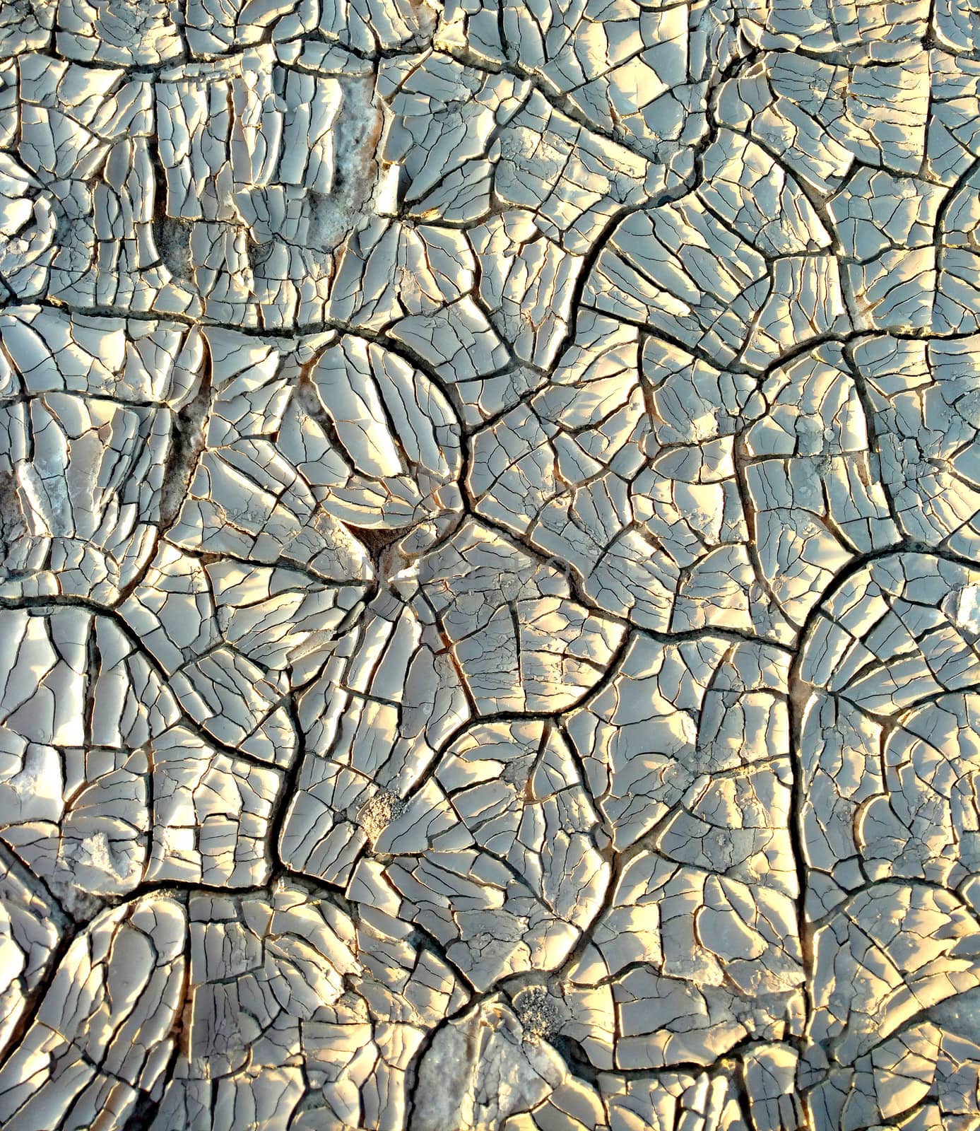 Image of cracked clay. Texture for background. Natural background for your design.