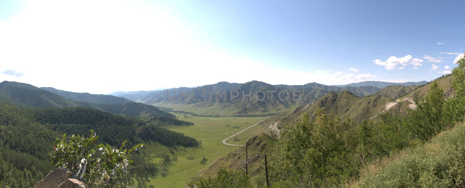 Panoramic picture of the fertile valley and the Chike-Taman pass going through it. Gorny Altai, Siberia, Russia. Landscape. by alexey_zheltukhin