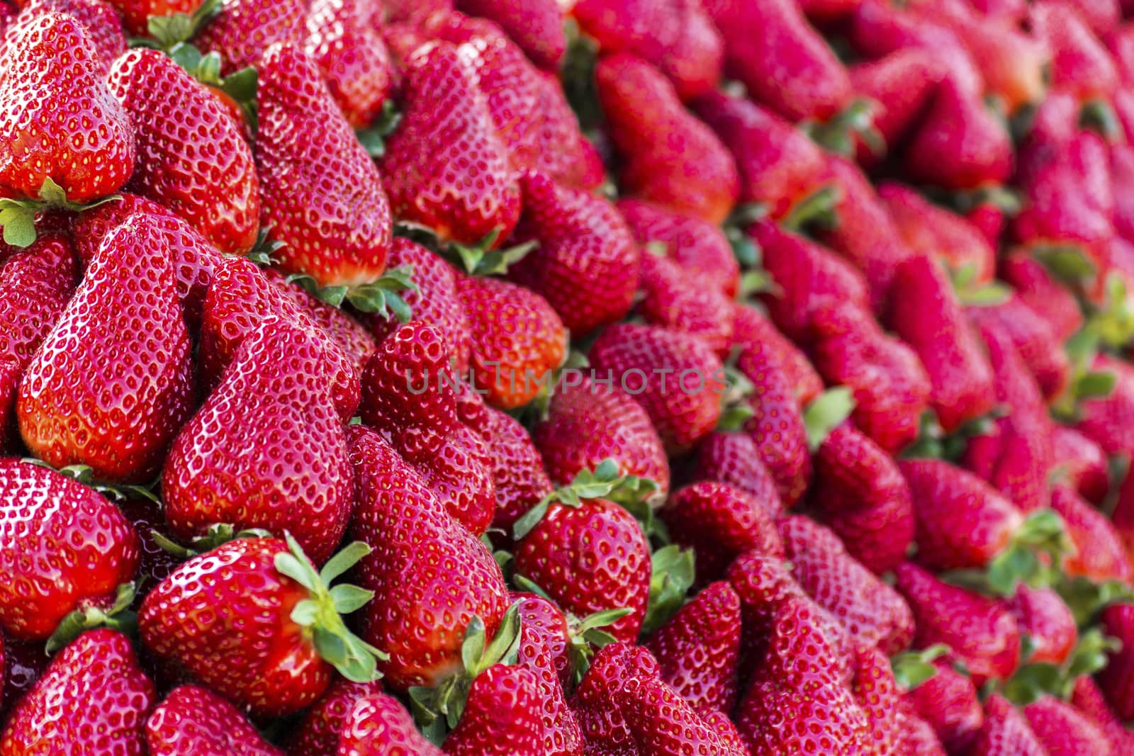 Fresh red strawberries on the fruit market