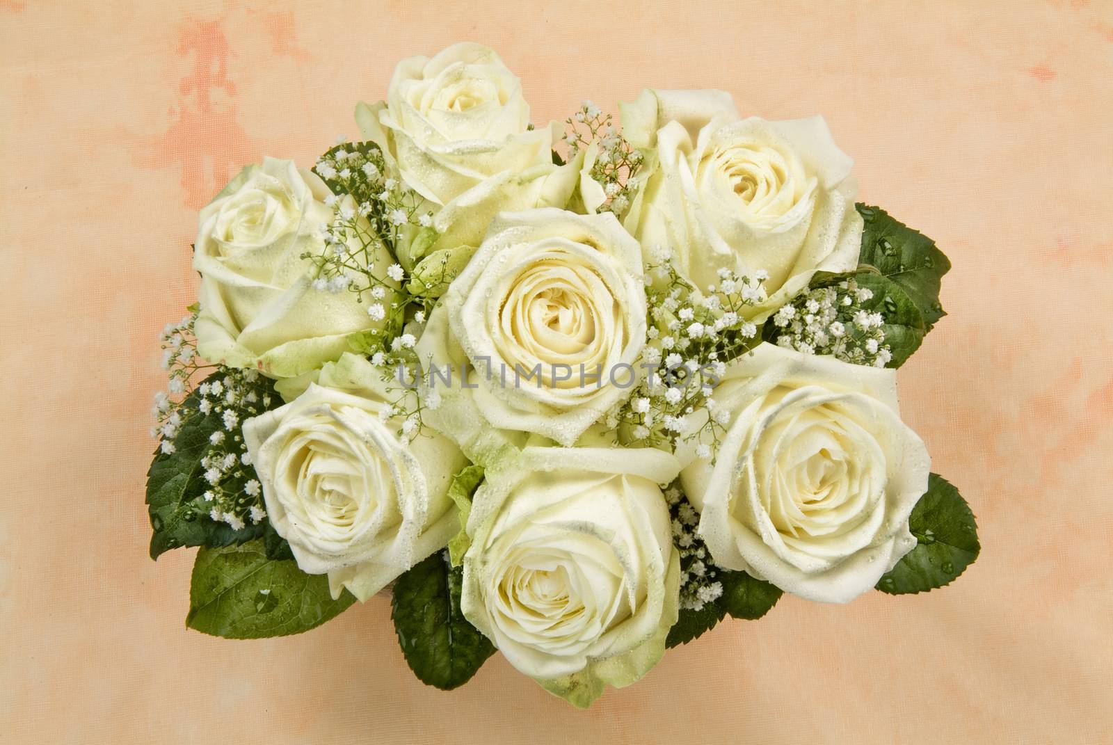 Bouquet of roses on a fabric studio background