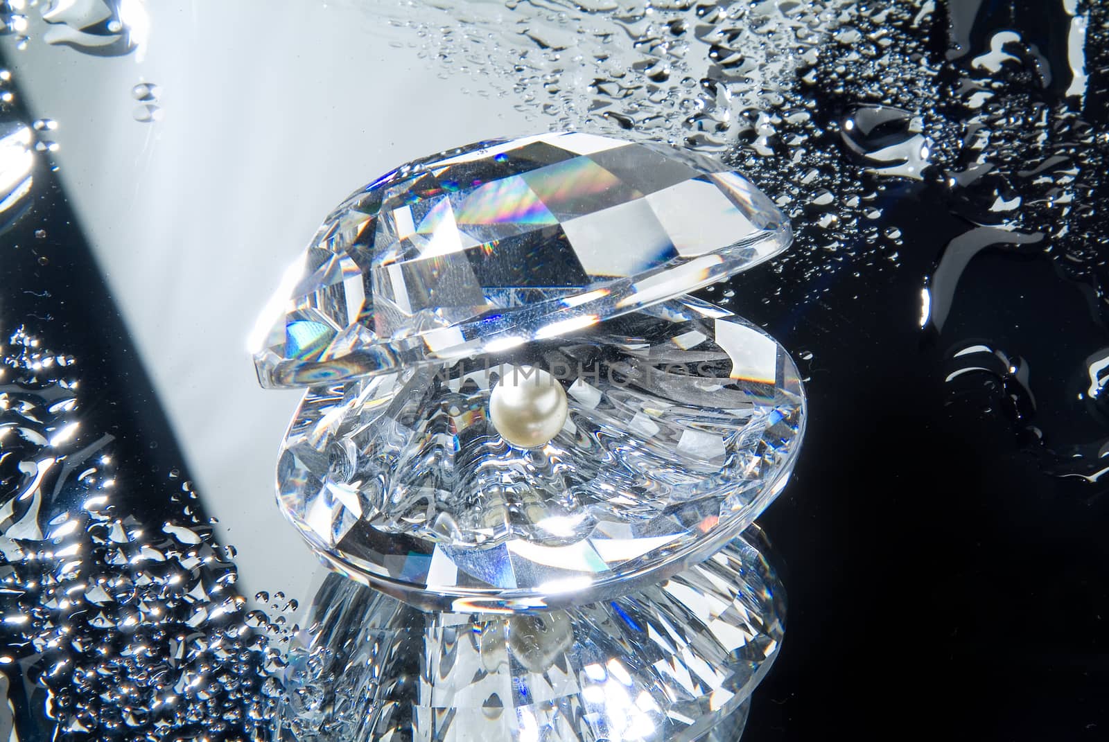 Crystal shell and a pearl on a glass studio background