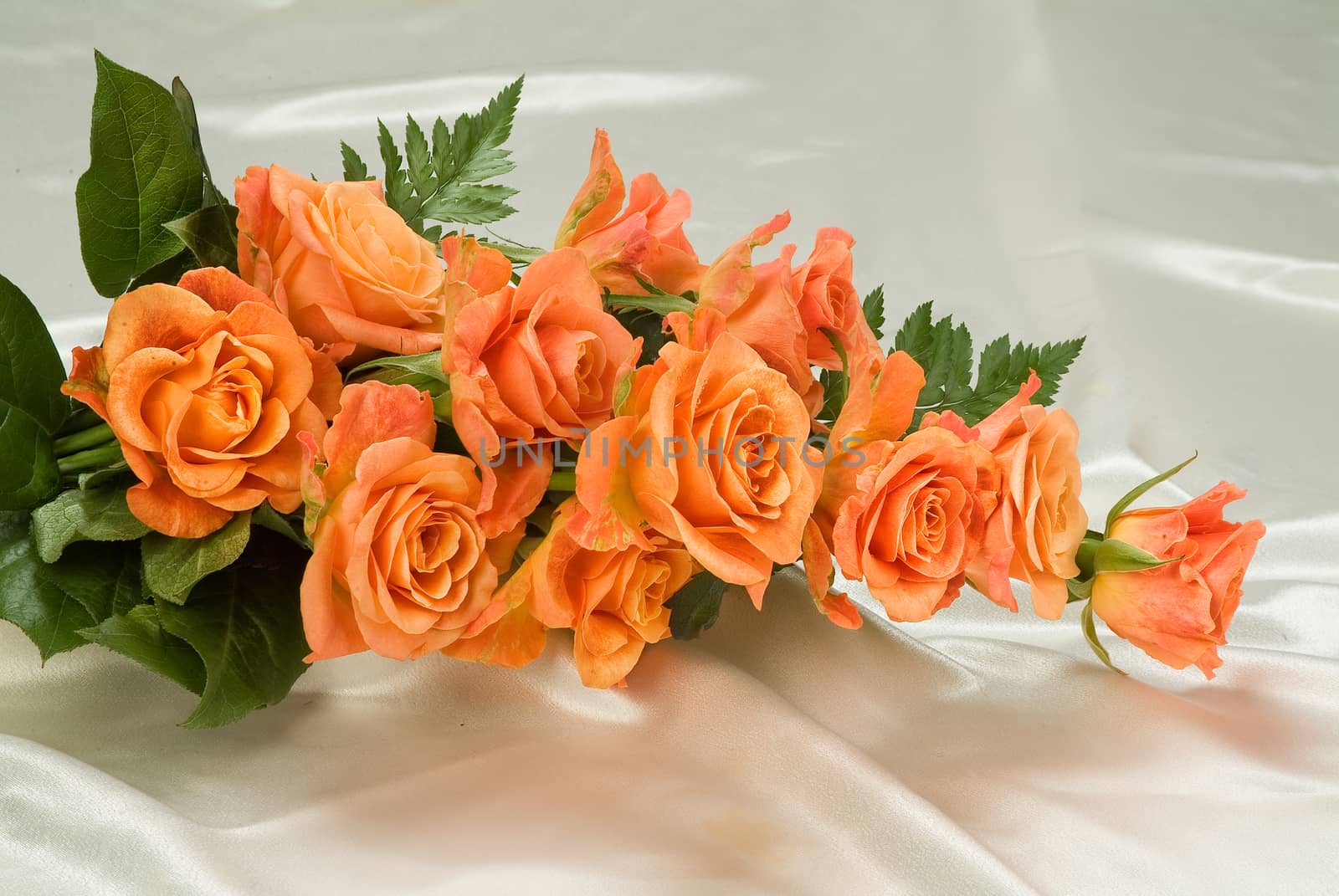 Bouquet of flowers on a studio background