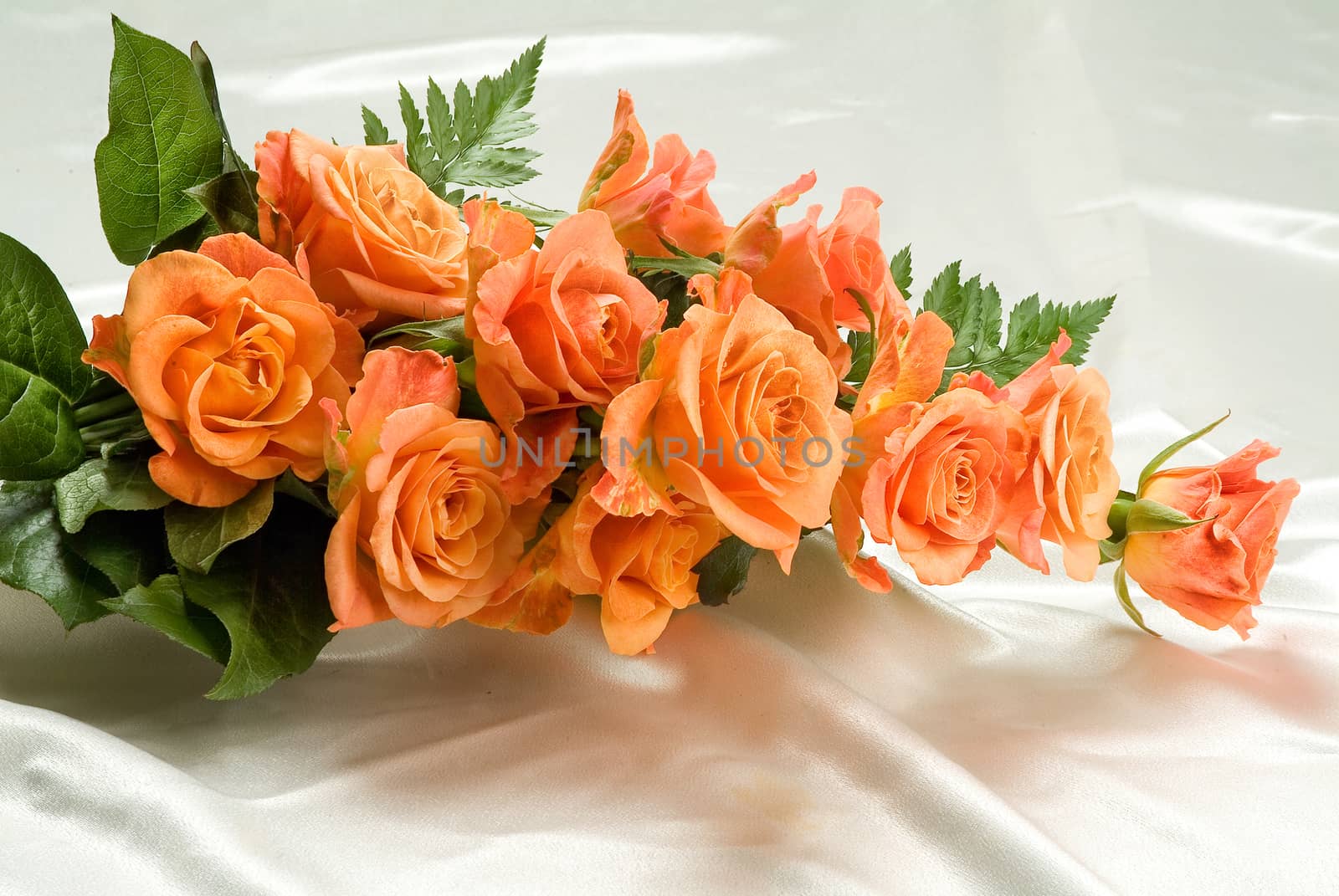 Bouquet of flowers on a studio background