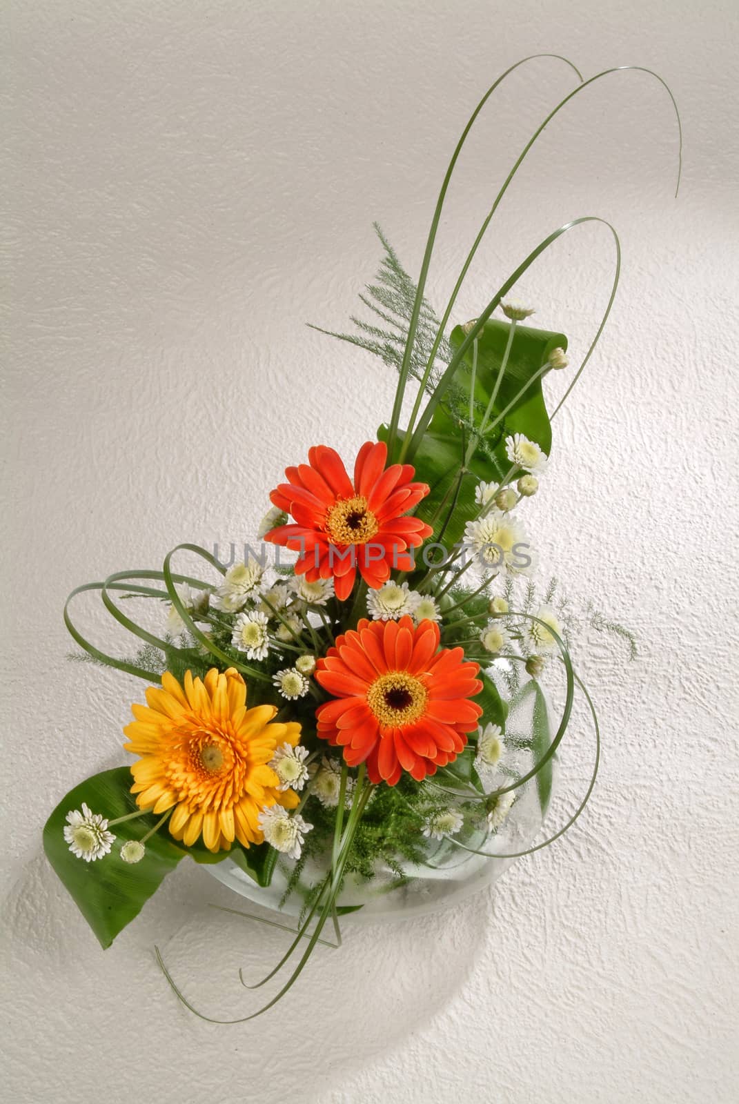 Bouquet of flowers on a studio background