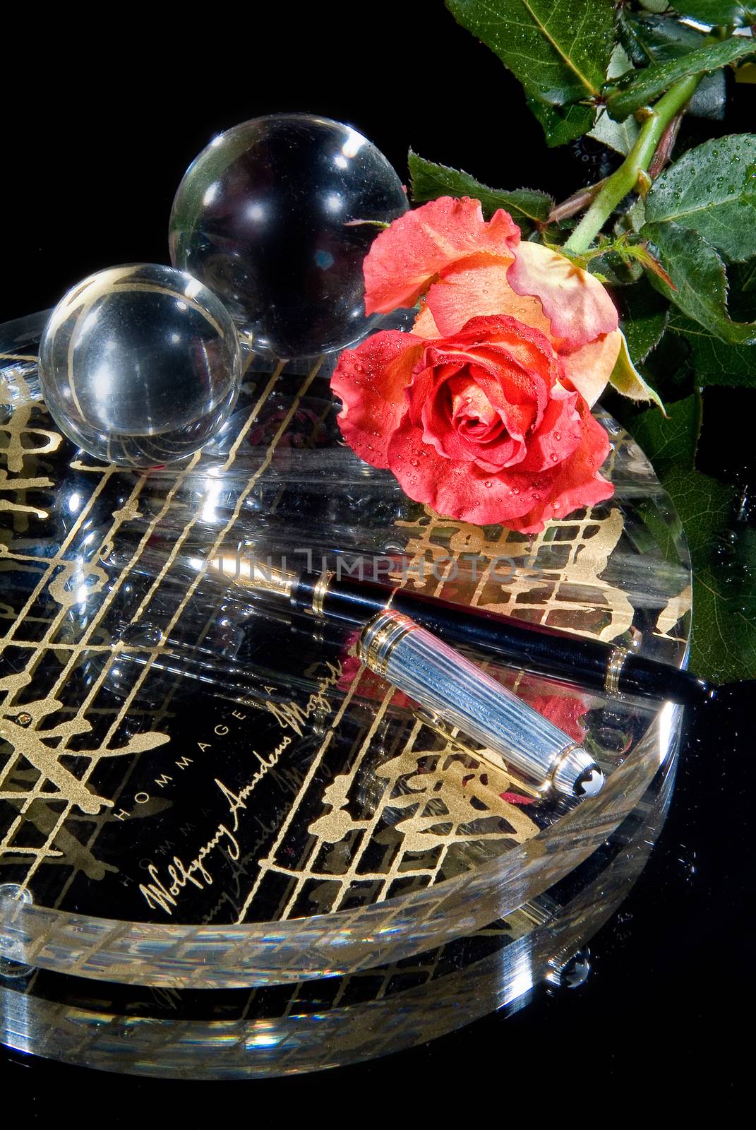 Pen and flowers on a glass studio background