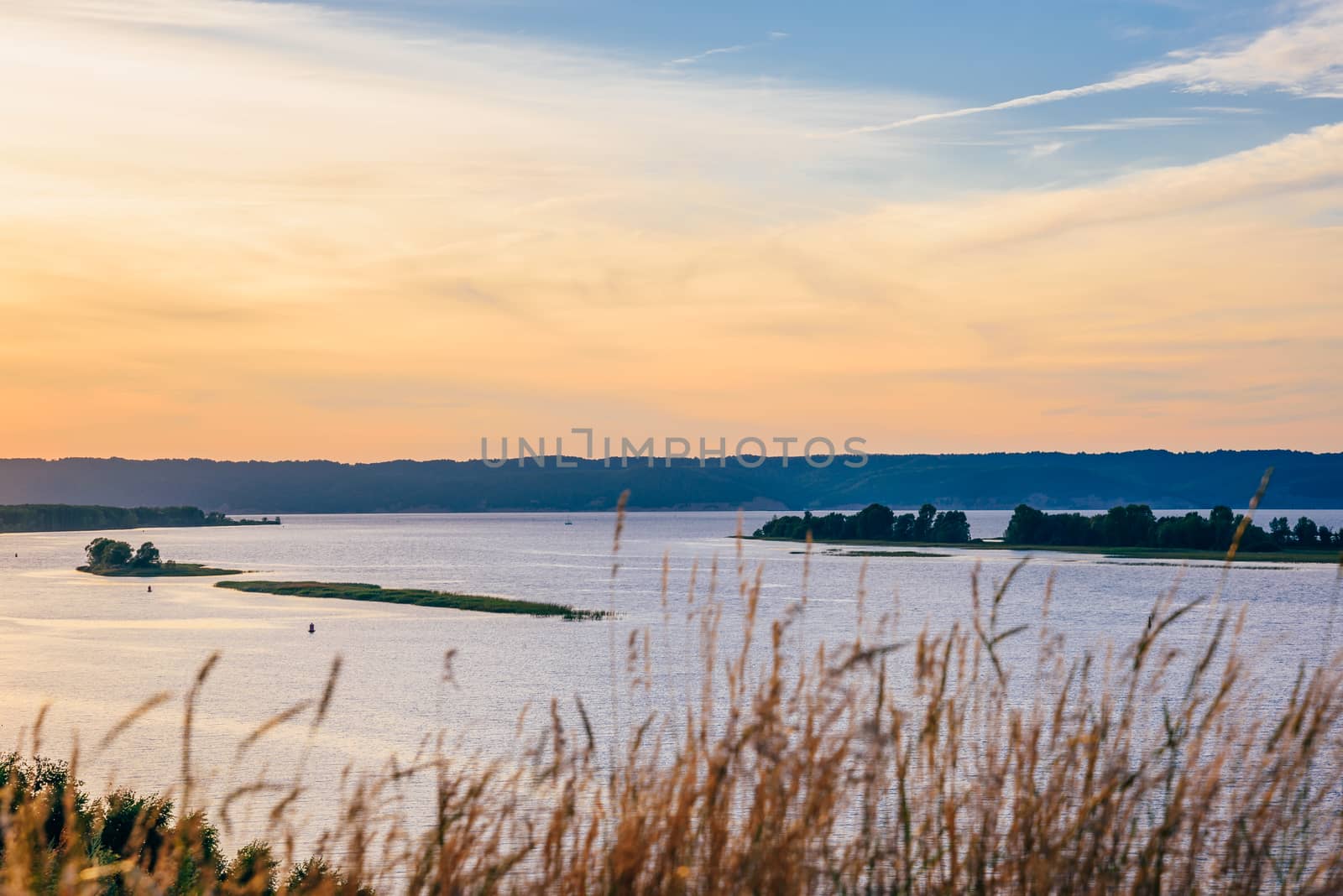 Grass against the river shore in the sunset light. Blurred foreground.