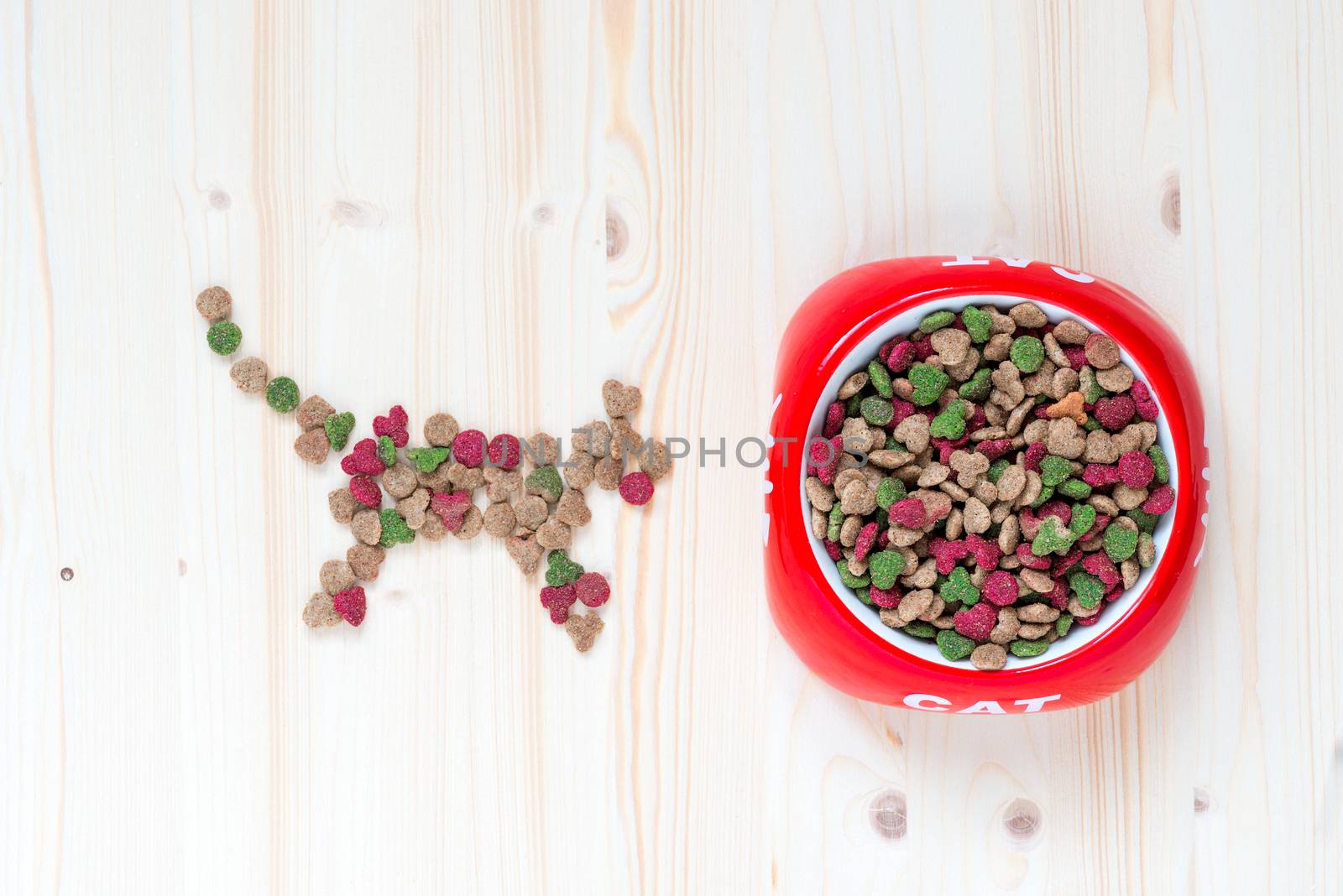 concept photo cat and dry food in bowl, top view close-up