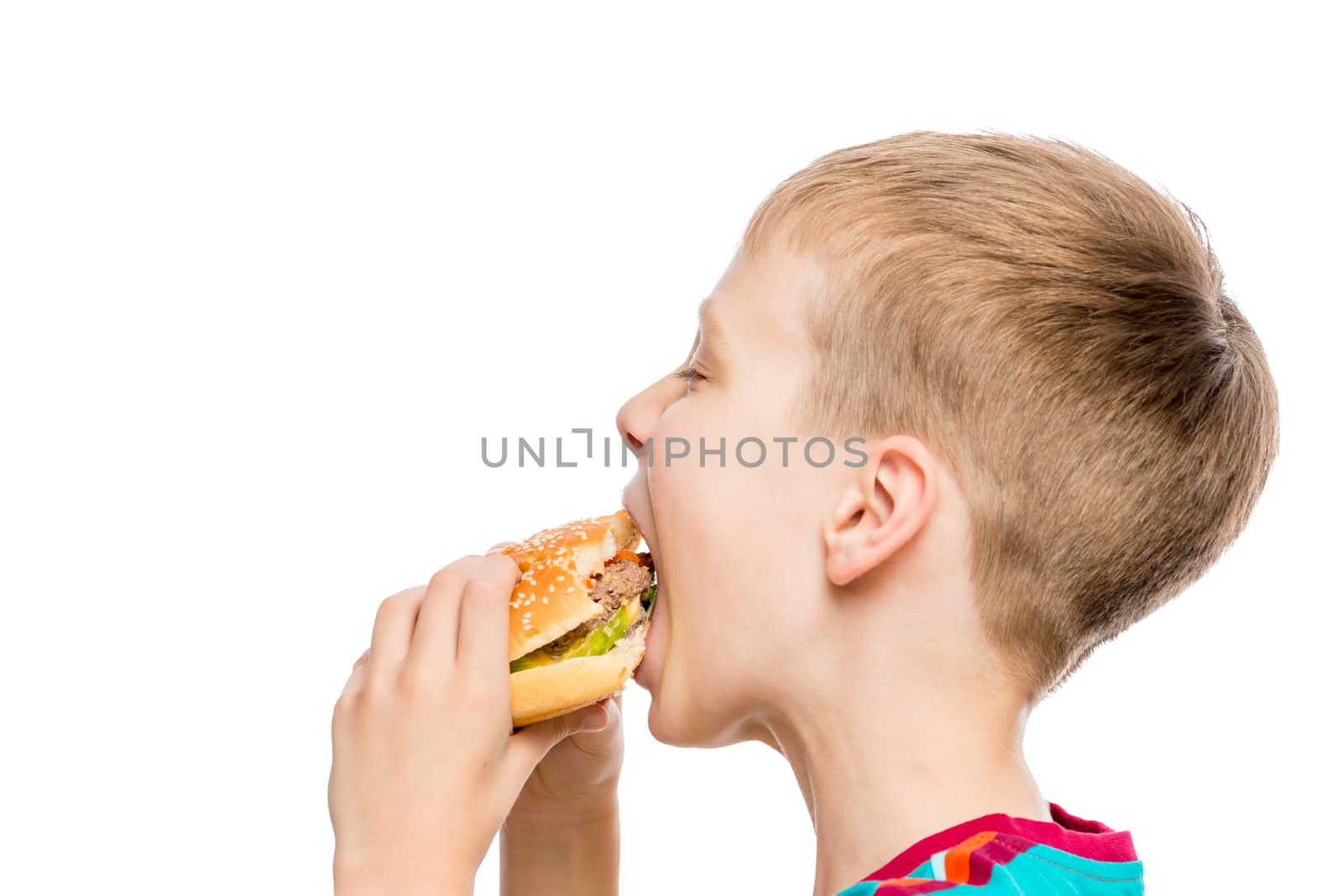 closeup portrait of a hungry boy with a hamburger on white background isolated