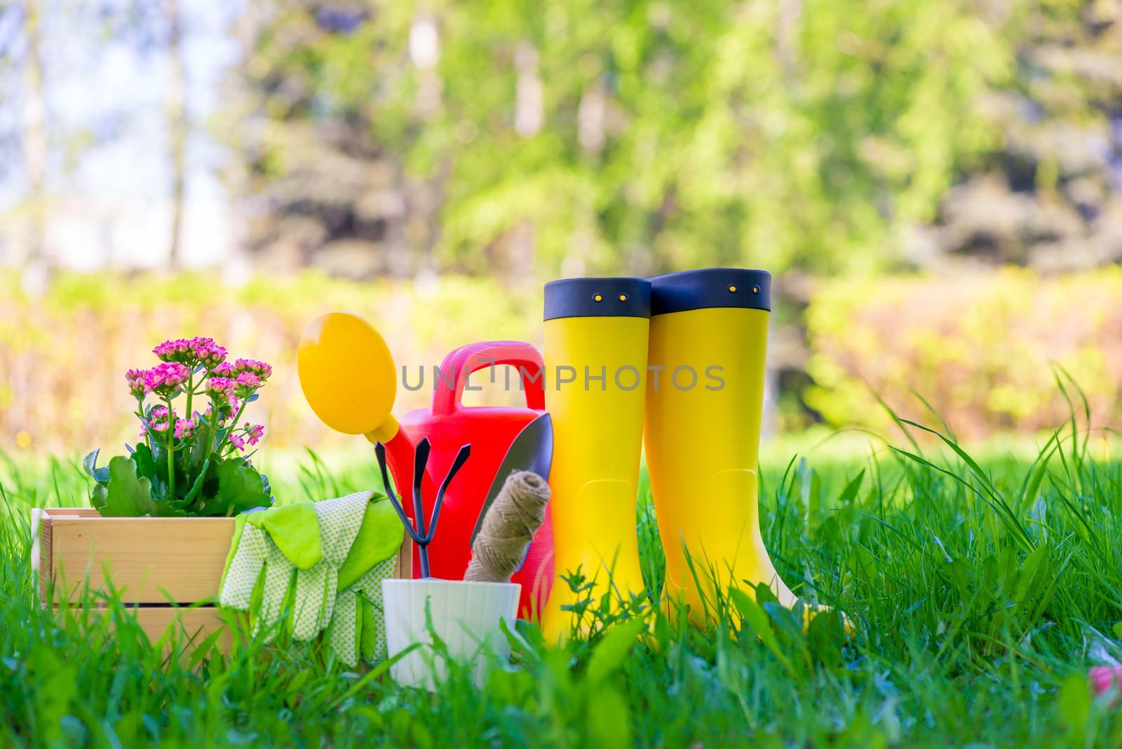 rubber boots next to the tools for working in the garden are on a green lawn in the spring