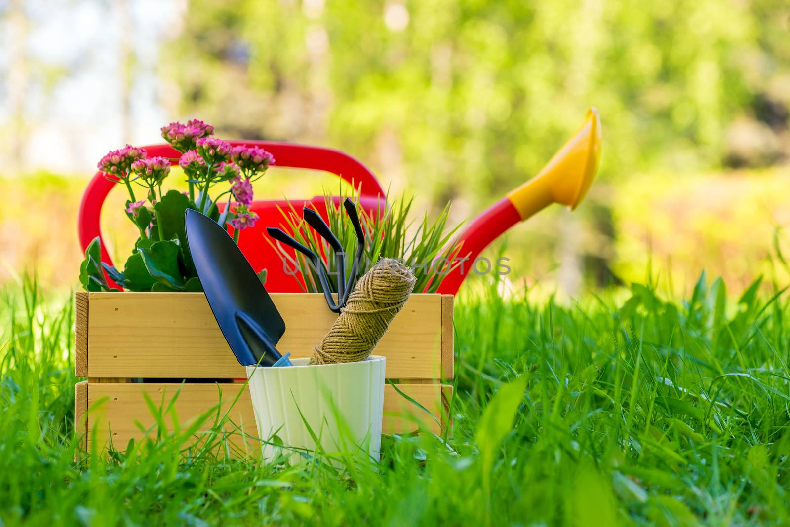 new tools for working in the garden on a green lawn backyard close-up