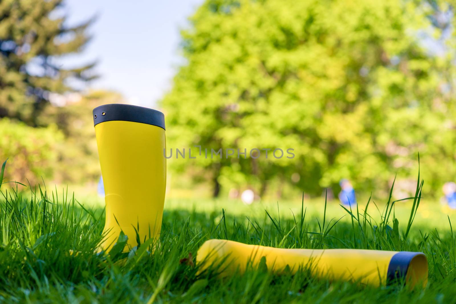 two yellow rubber boots on a green juicy lawn on a spring aftern by kosmsos111