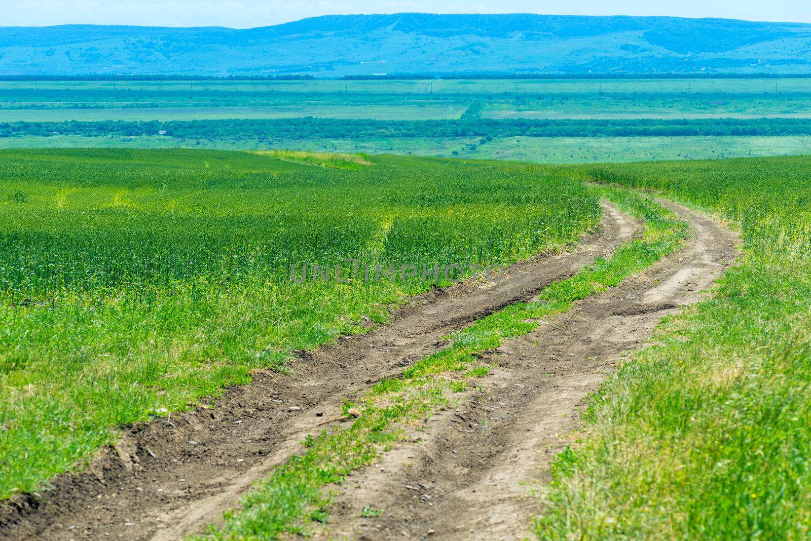 road in a green field, beautiful landscape with mountain views by kosmsos111