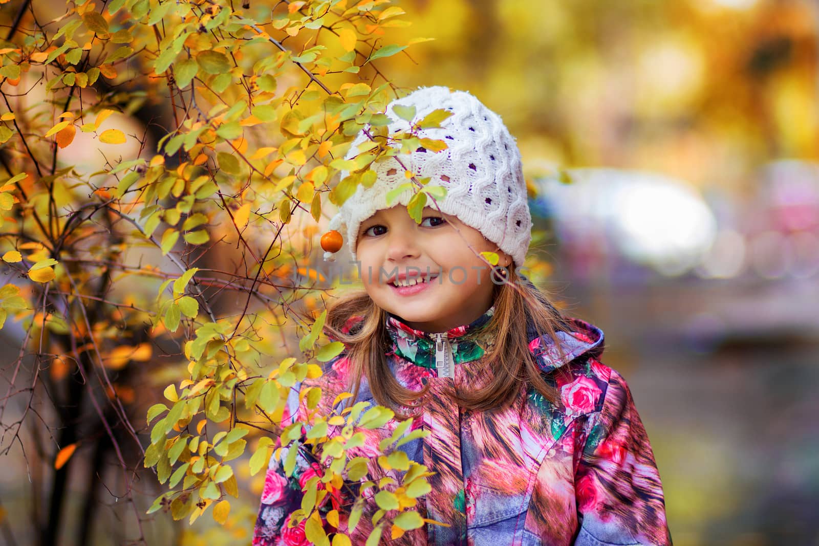 The girl in a jacket and in a cap costs near an autumn yellow bush