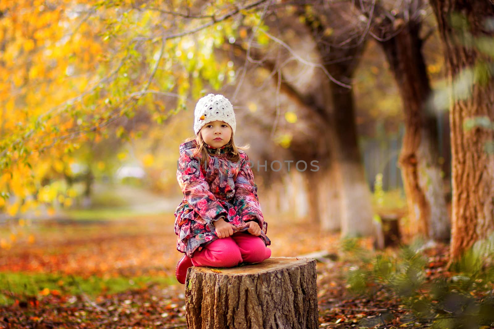 The girl in a jacket and a knitted cap sits on a stub in the park in the fall