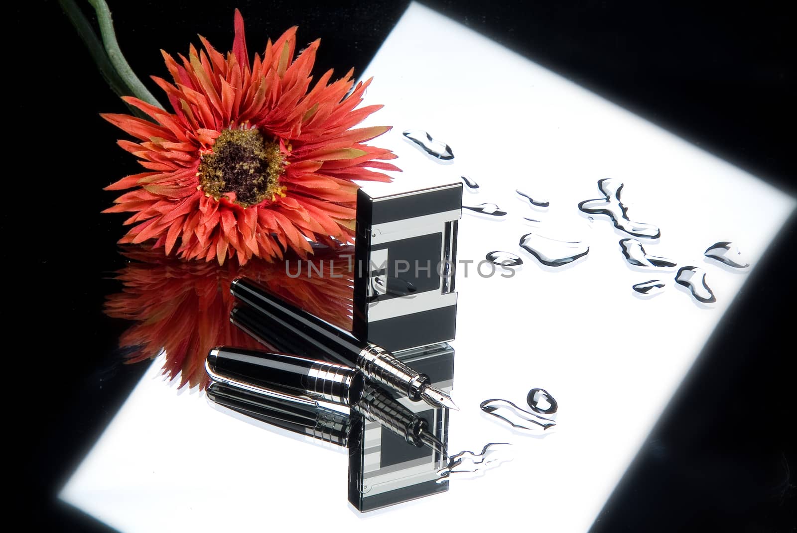 Lighter, pen and flower on a glass studio background