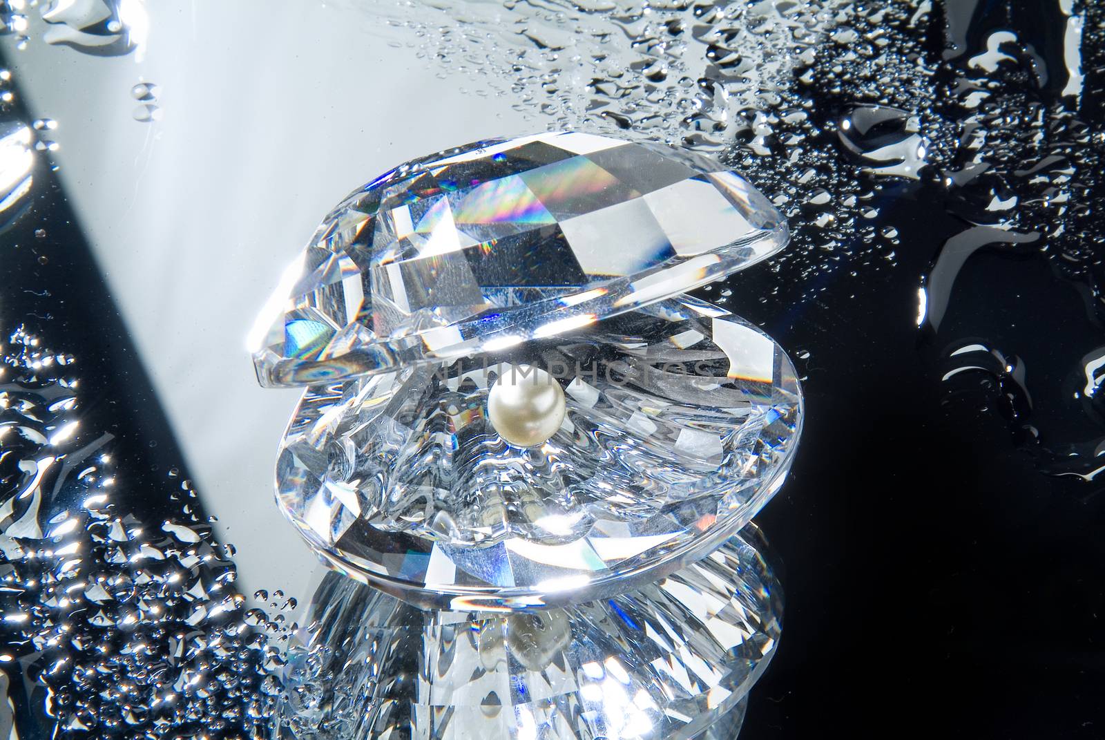Crystal shell and a pearl on a glass studio background