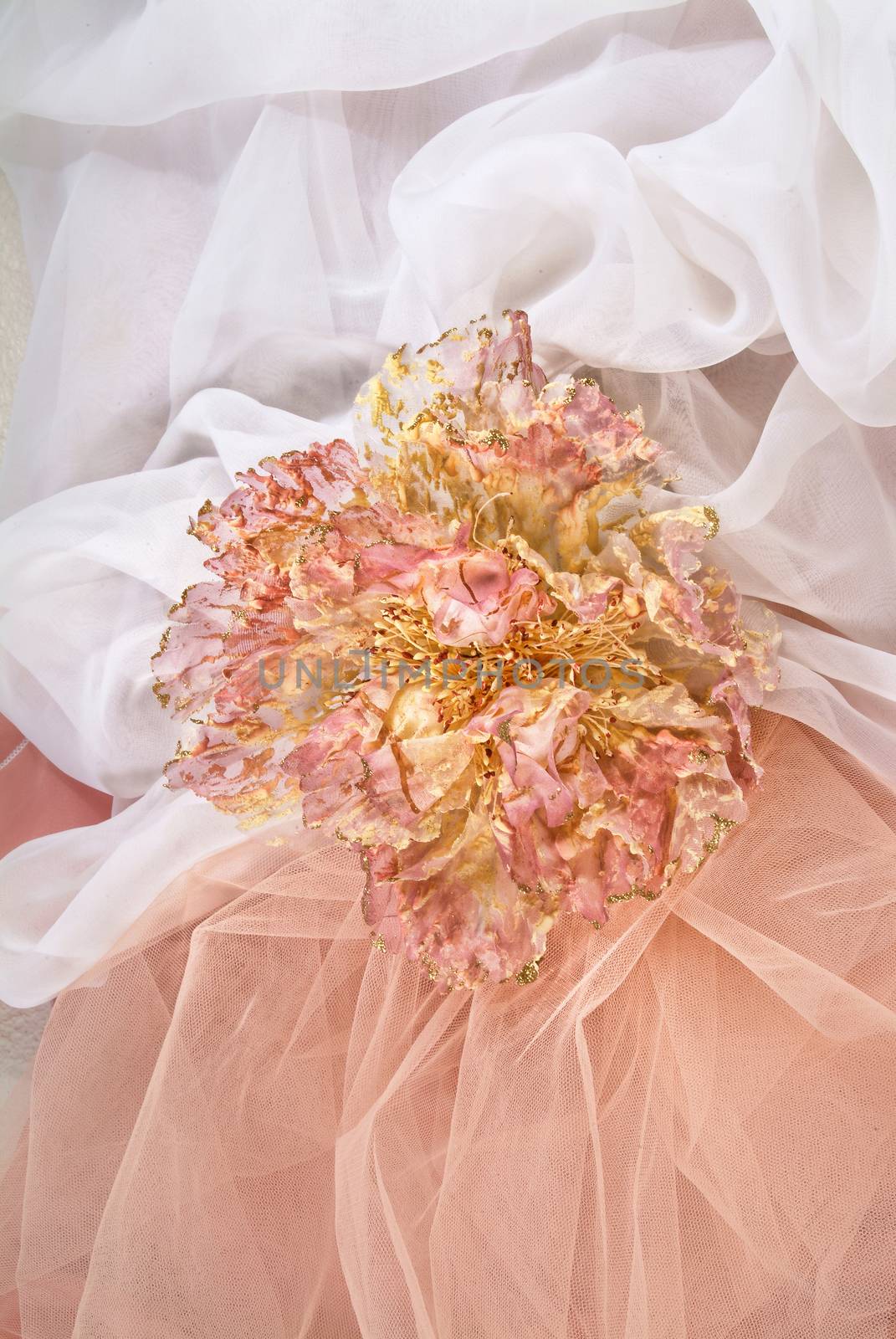 Bouquet of flowers on a studio background