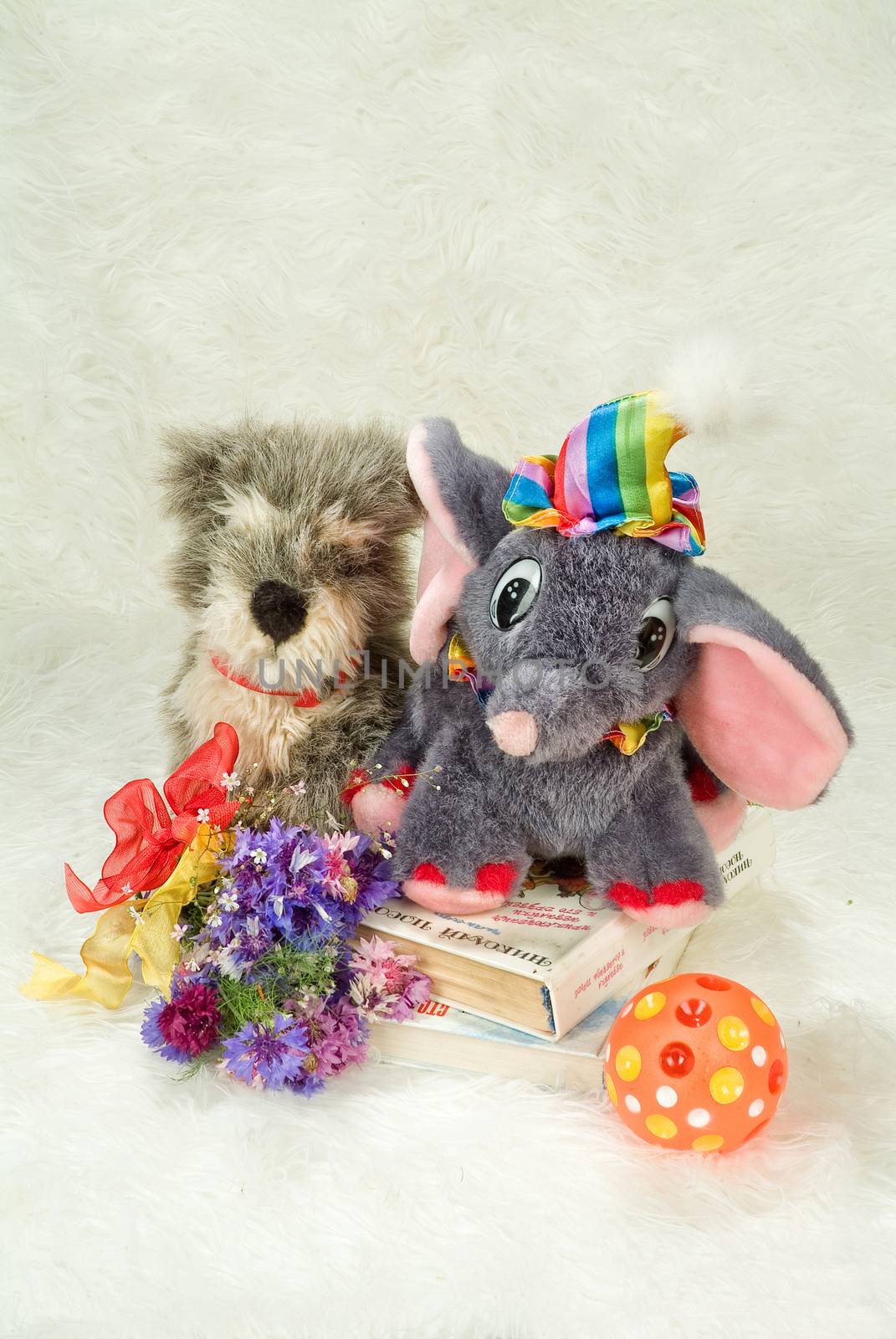 Still life with toy on a studio background