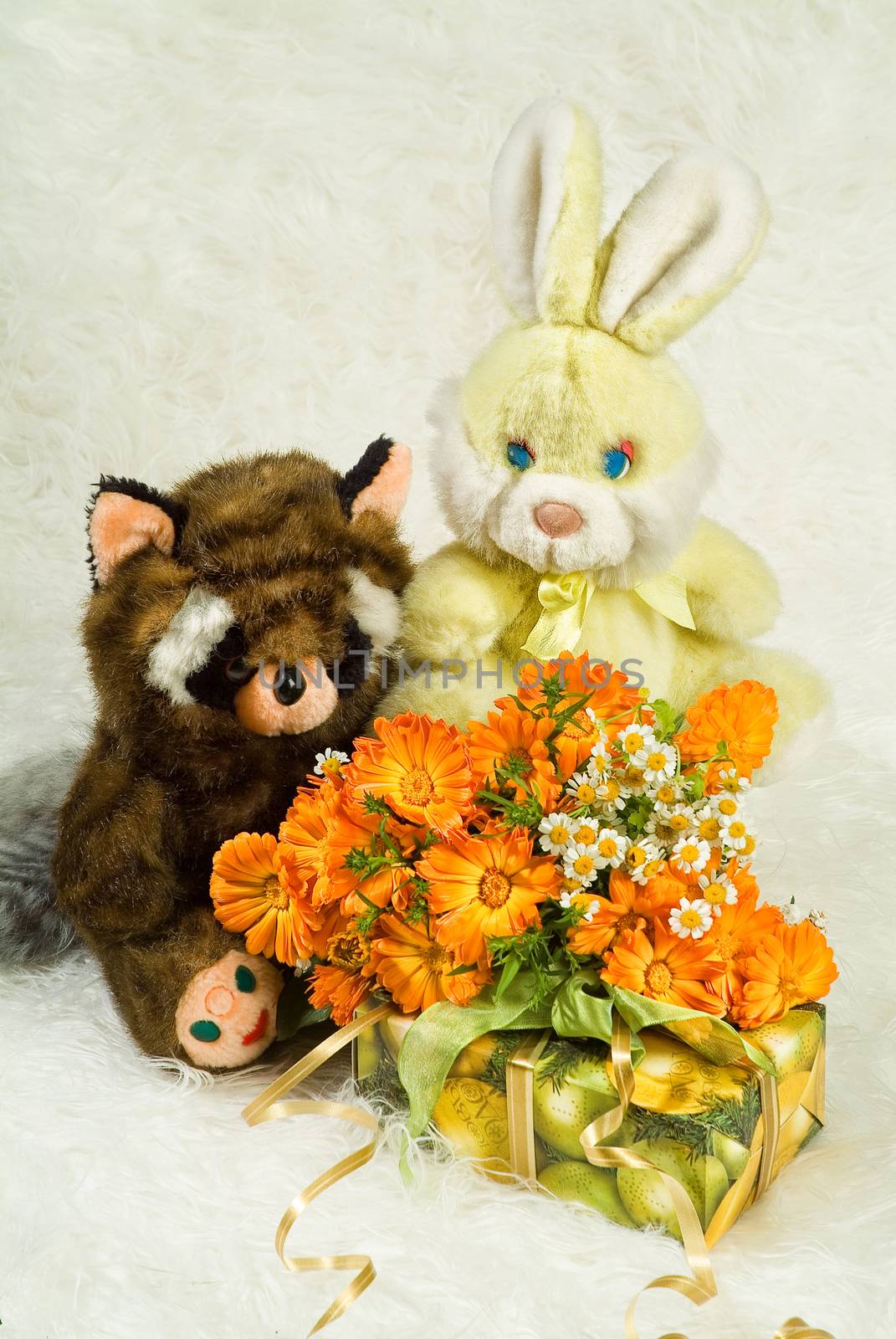 Still life with toy on a studio background