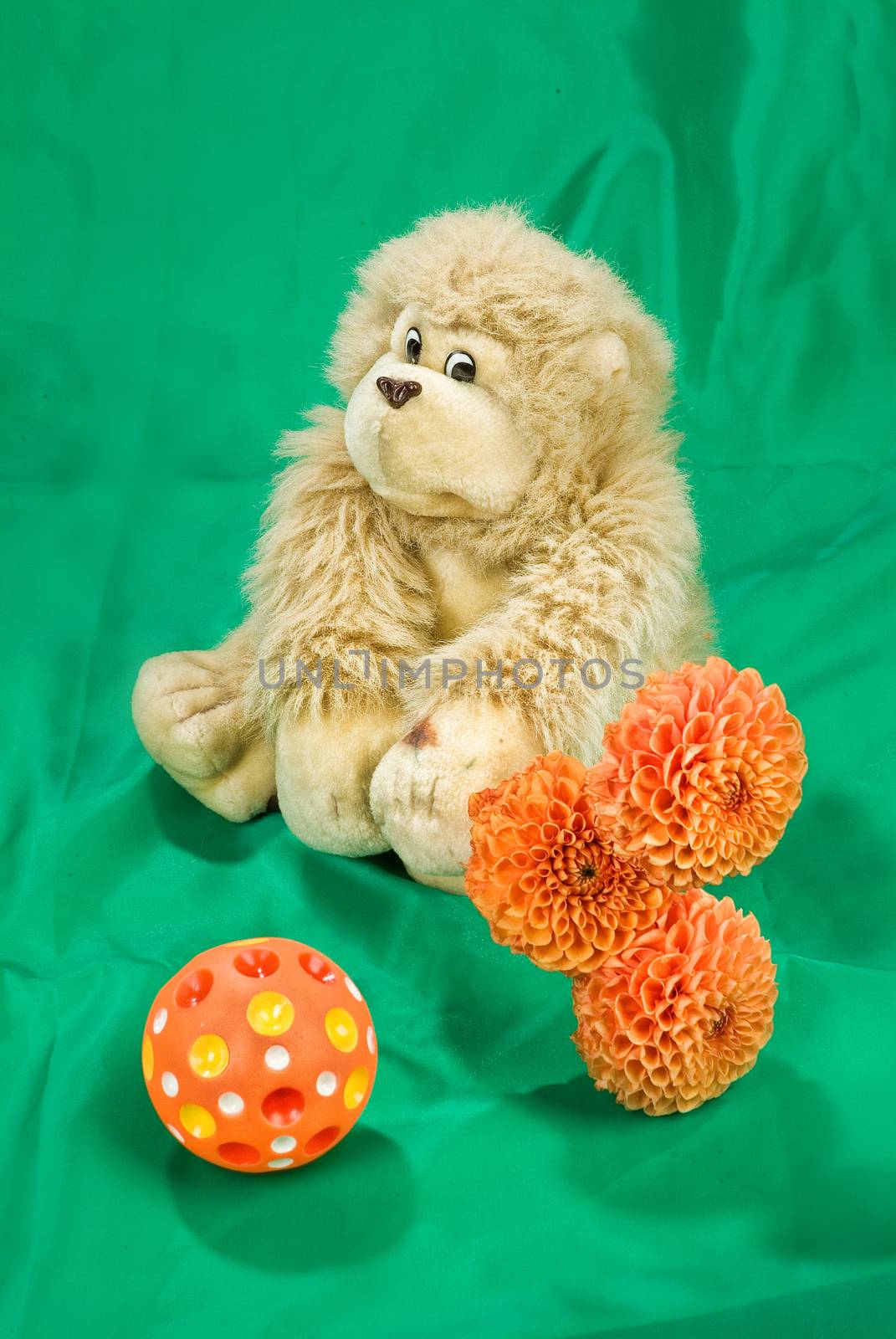 Still life with toy on a studio background