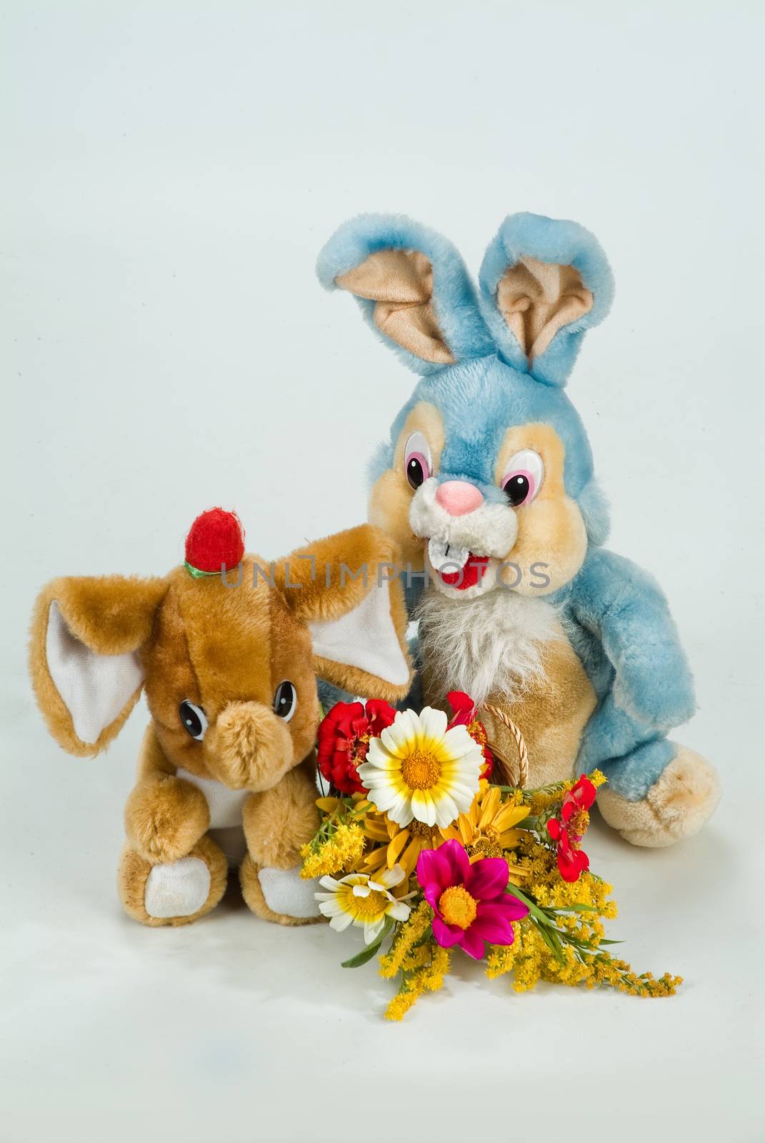 Still life with toy on a studio background
