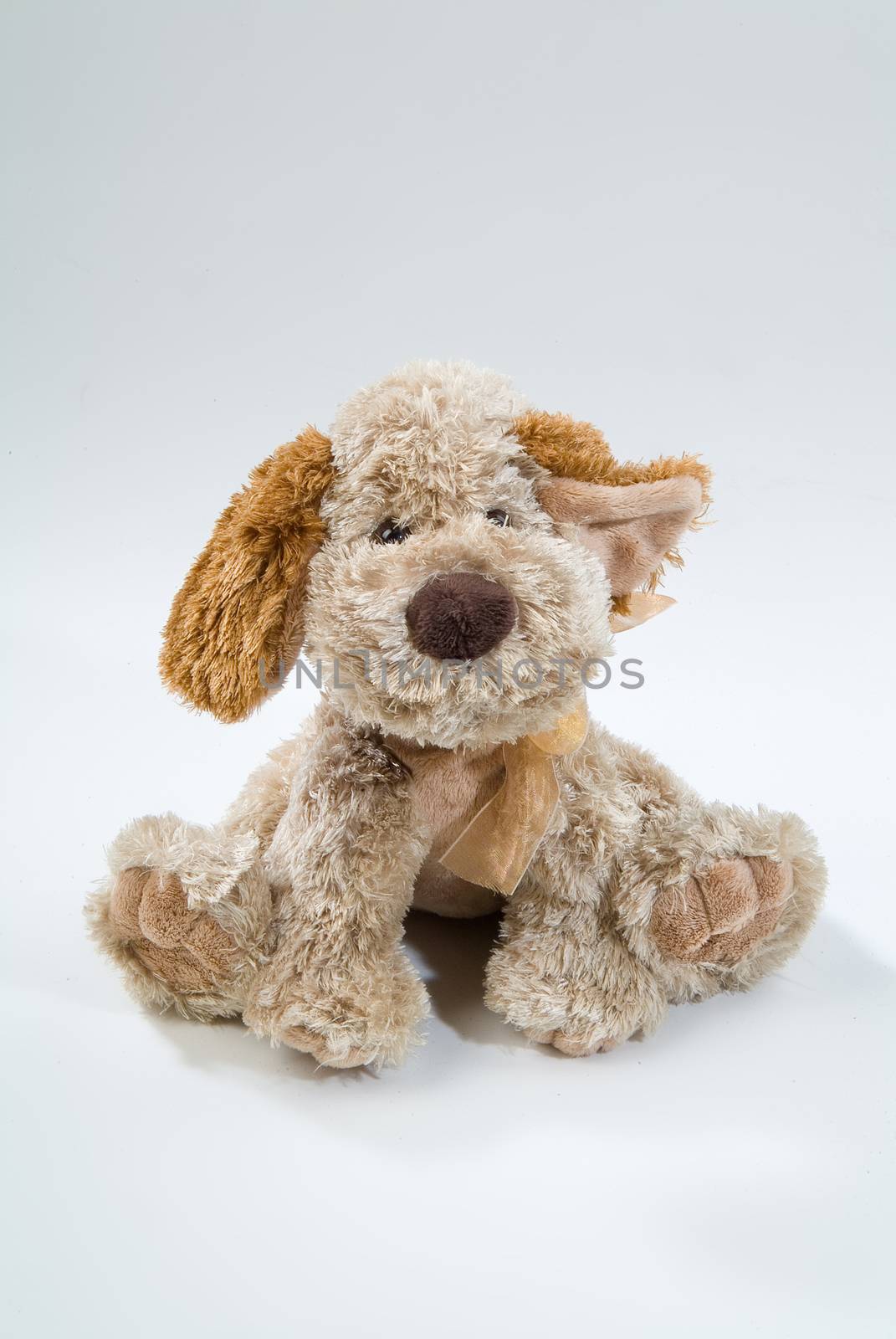 Still life with toy on a studio background