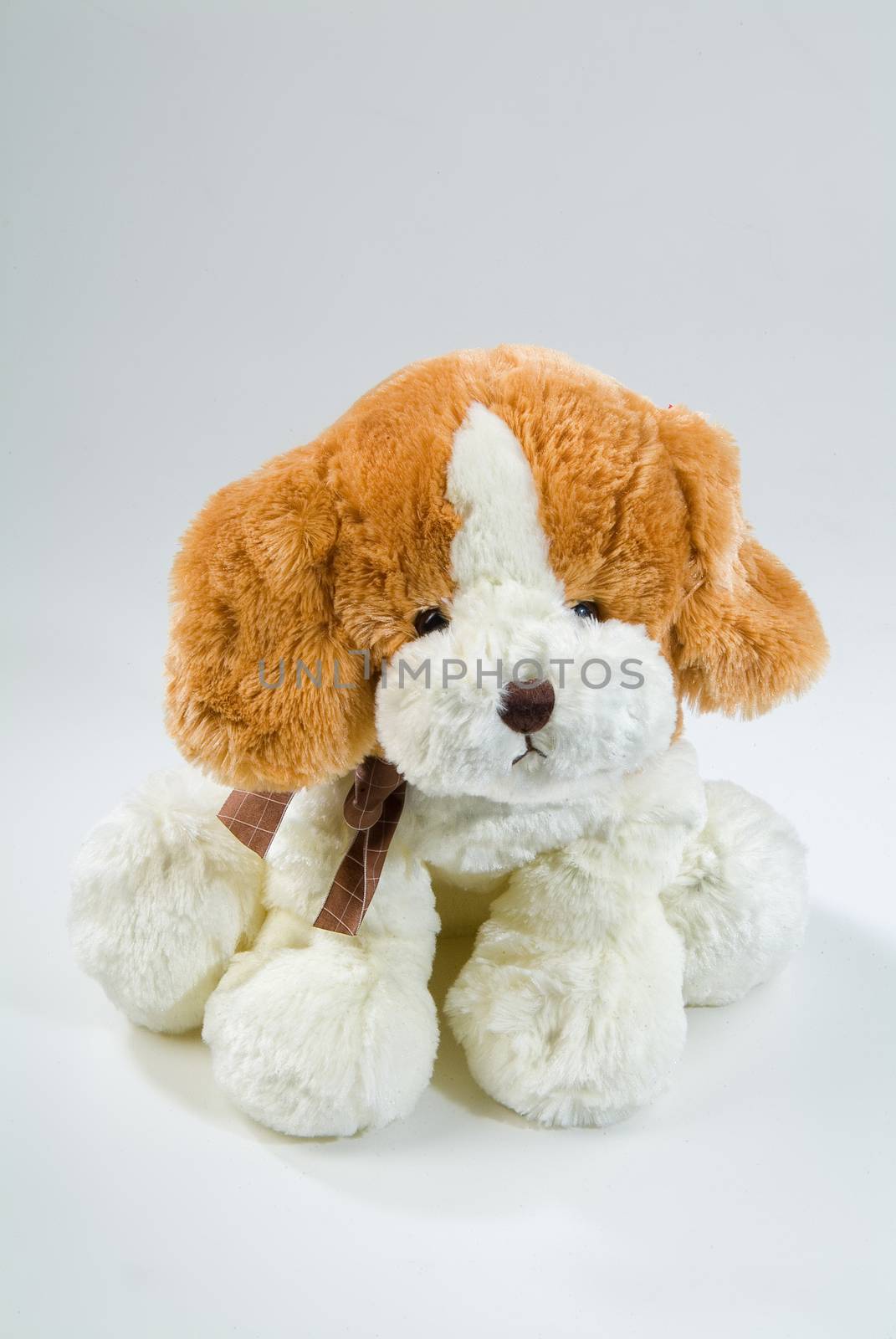 Still life with toy on a studio background