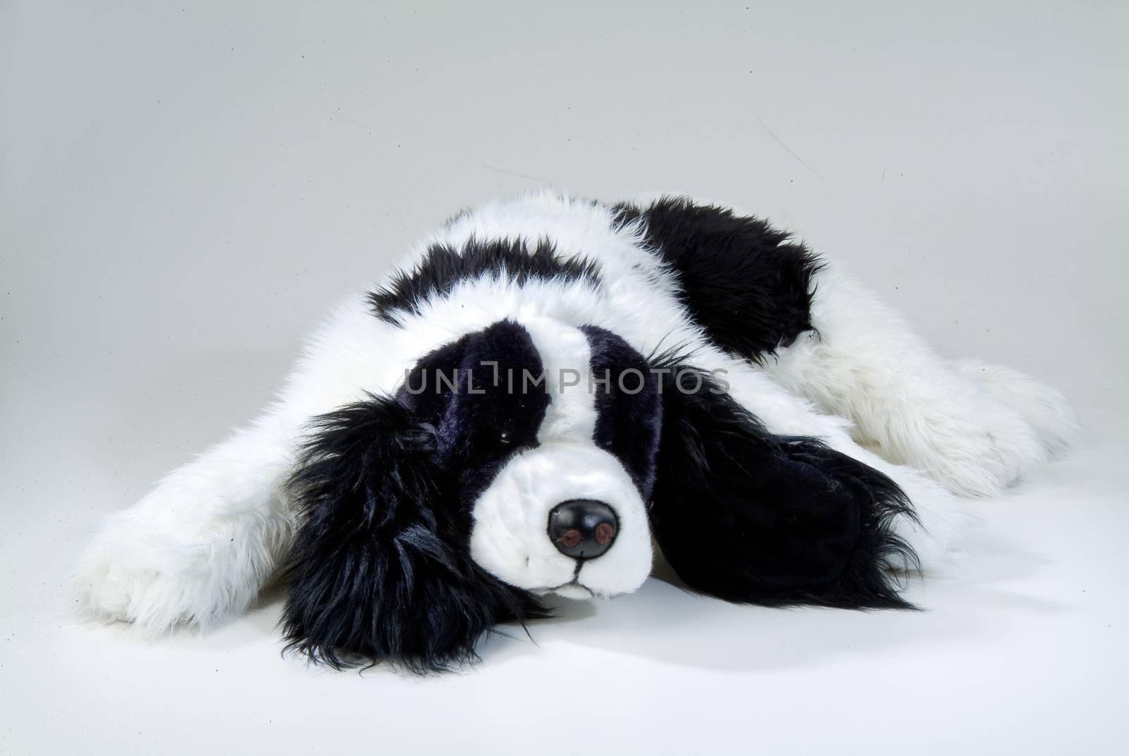Still life with toy on a studio background