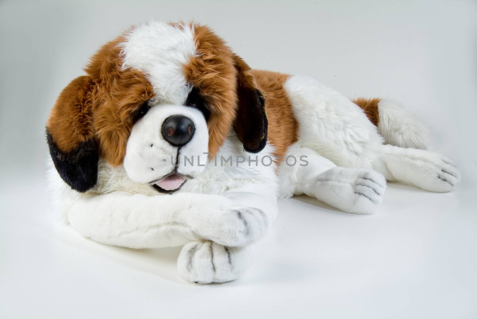 Still life with toy on a studio background
