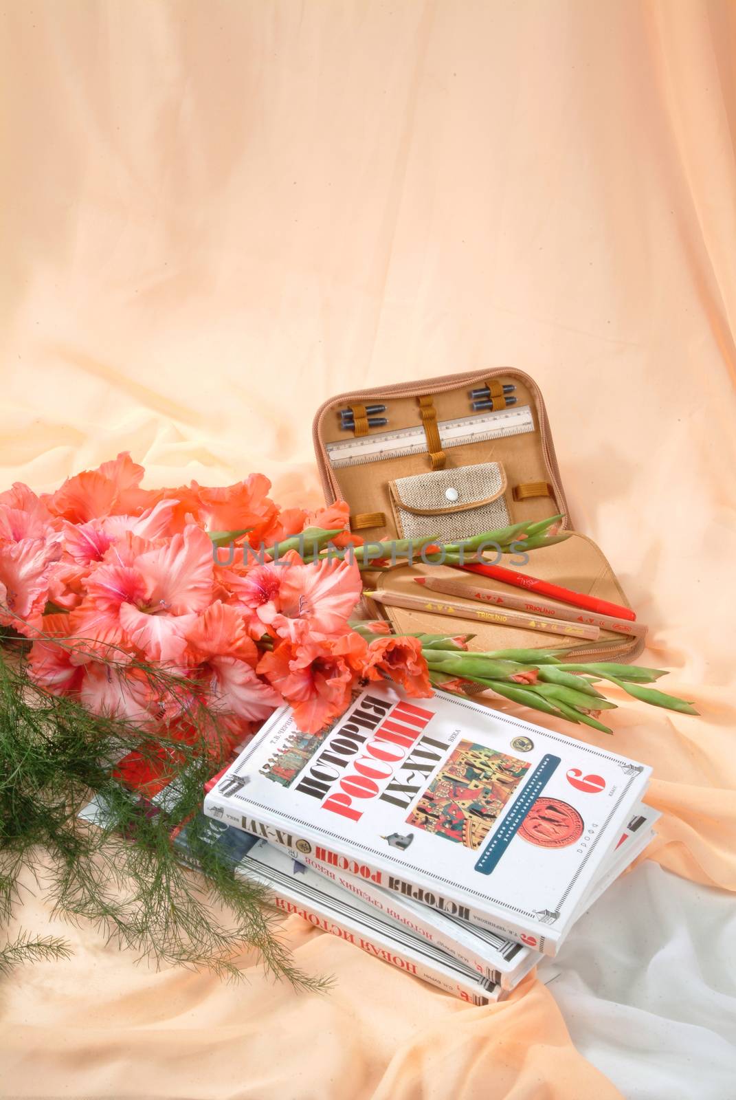 School books and accessories on a studio background