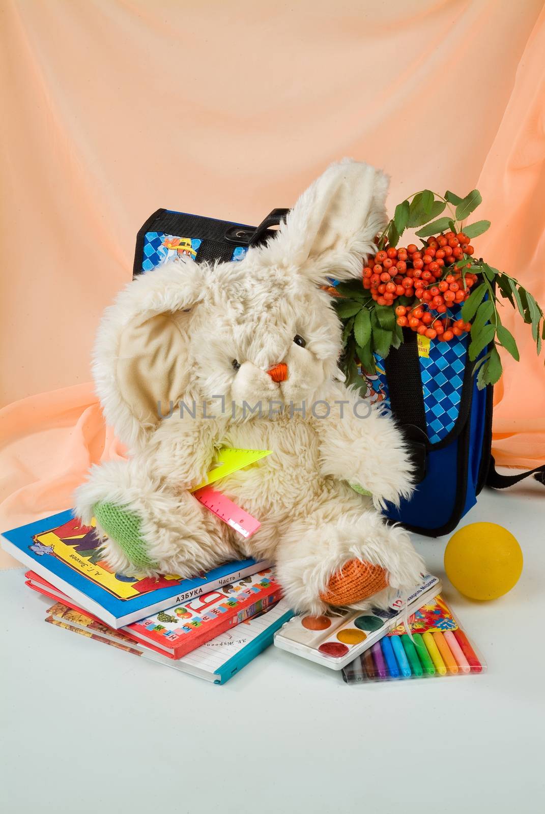 School books and accessories on a studio background