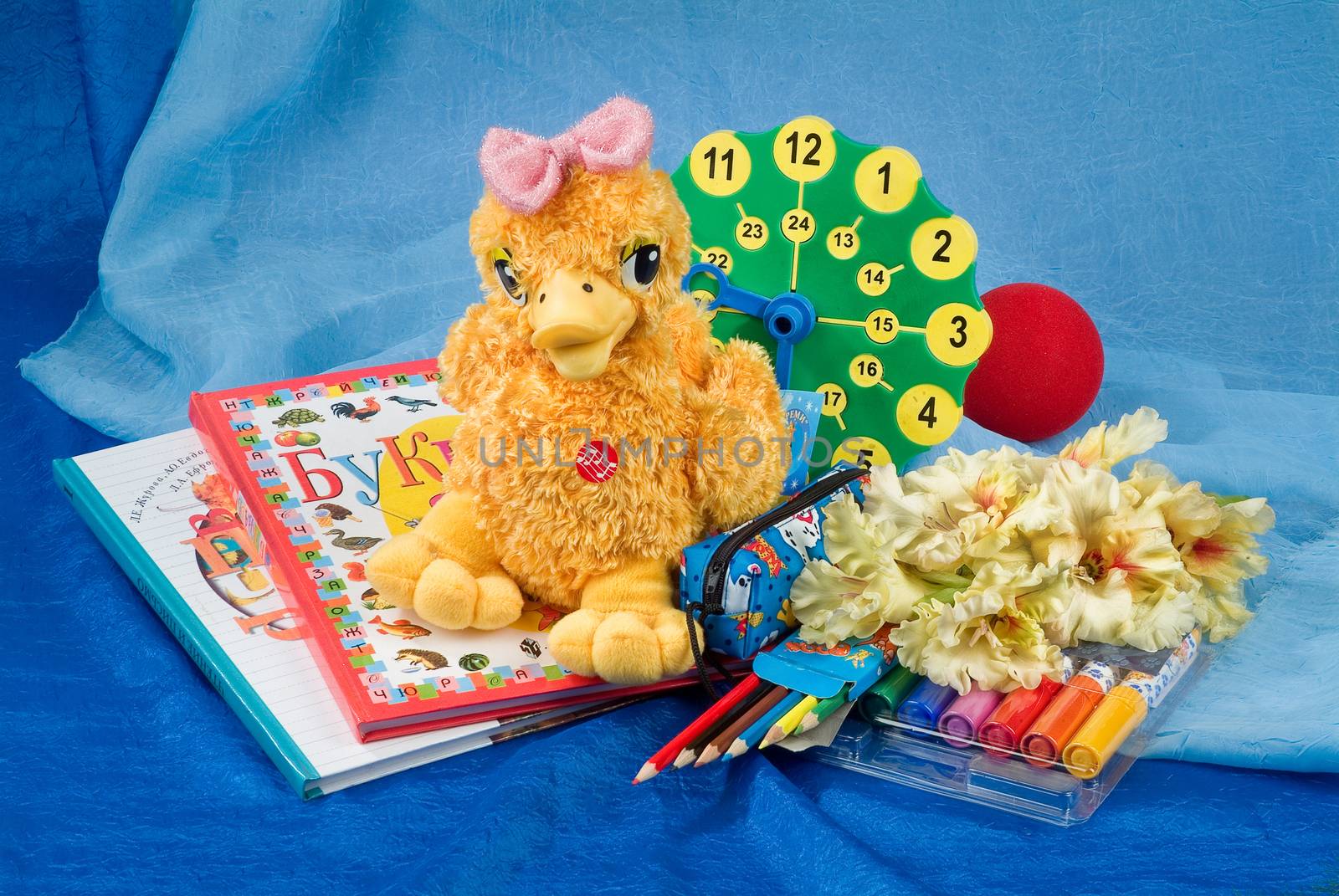School books and accessories on a studio background