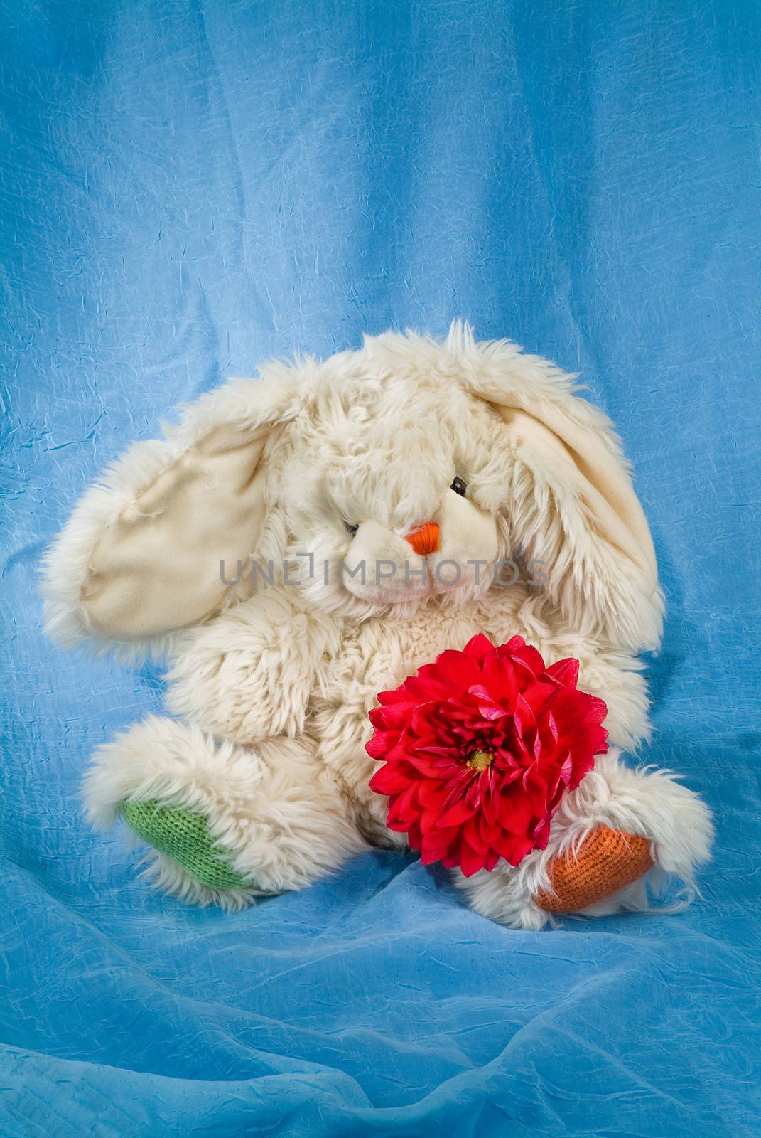 Toy dog with flower on a fabricc background