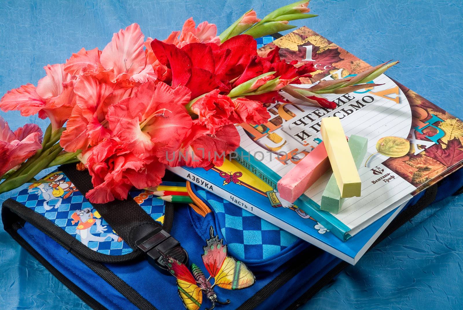 School books and accessories on a studio background