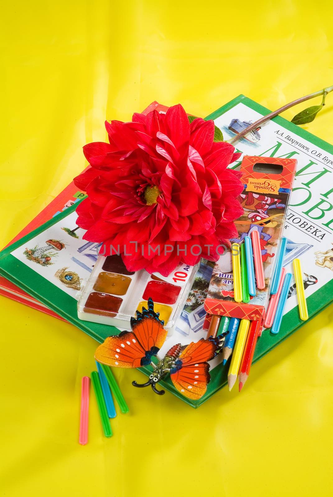 School books and accessories on a studio background