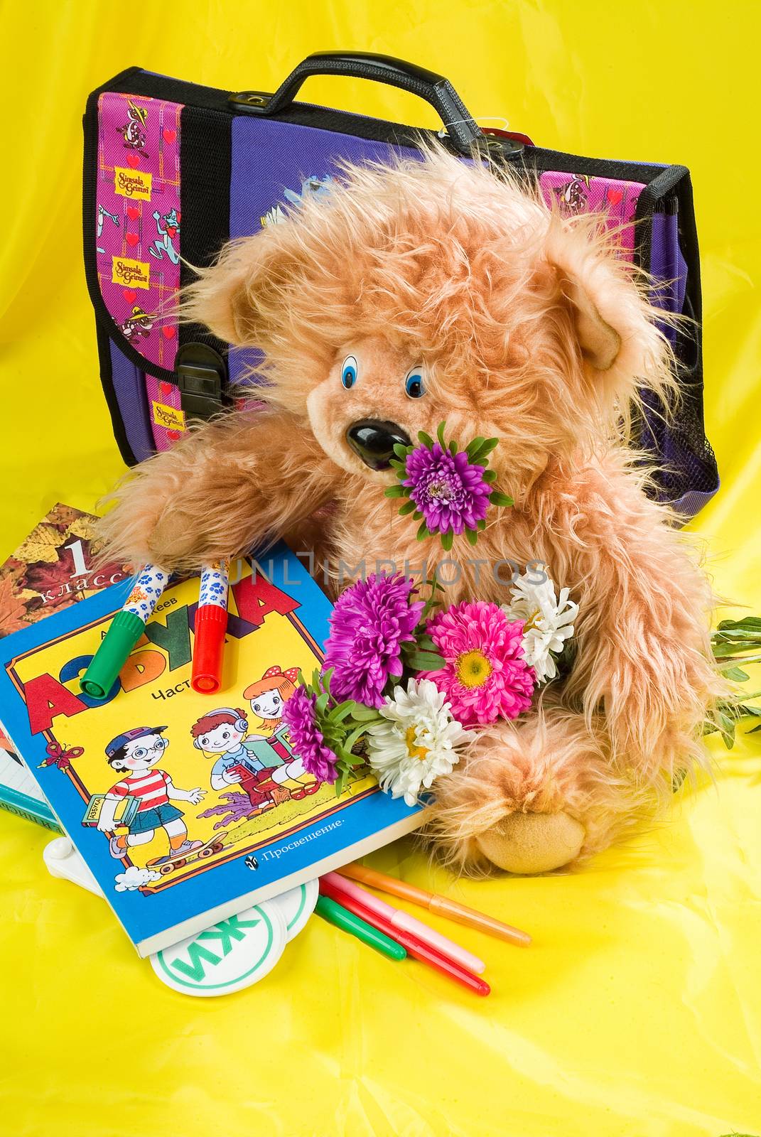 School books and accessories on a studio background