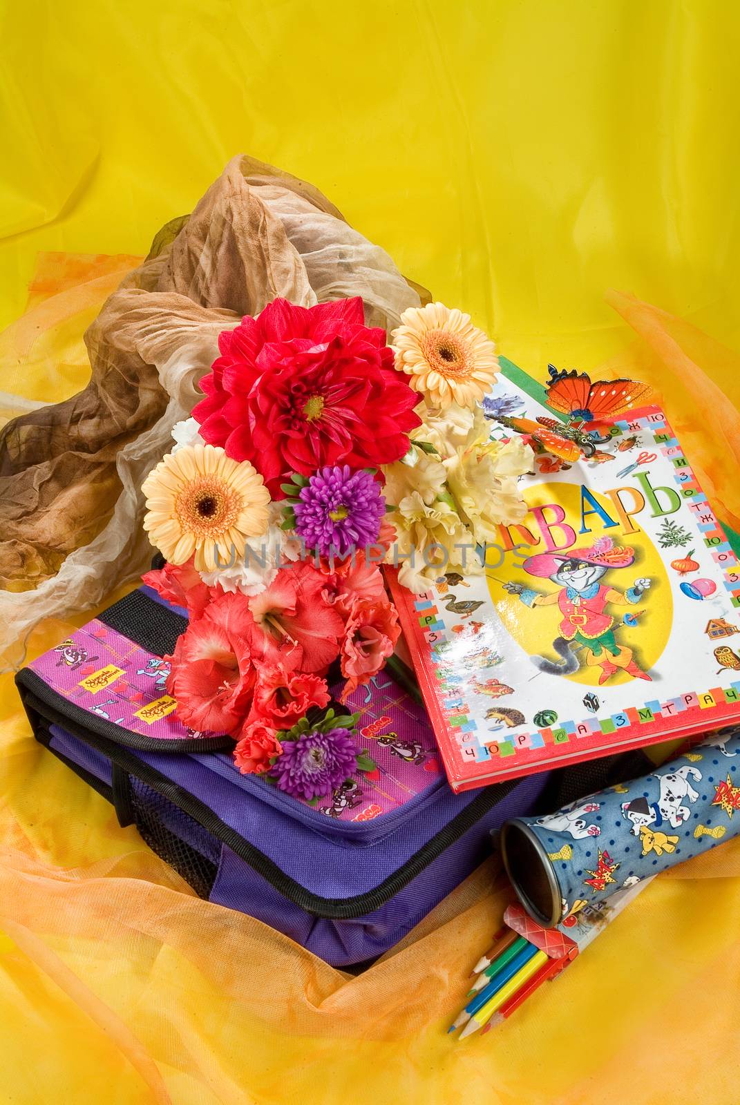 School books and accessories on a studio background