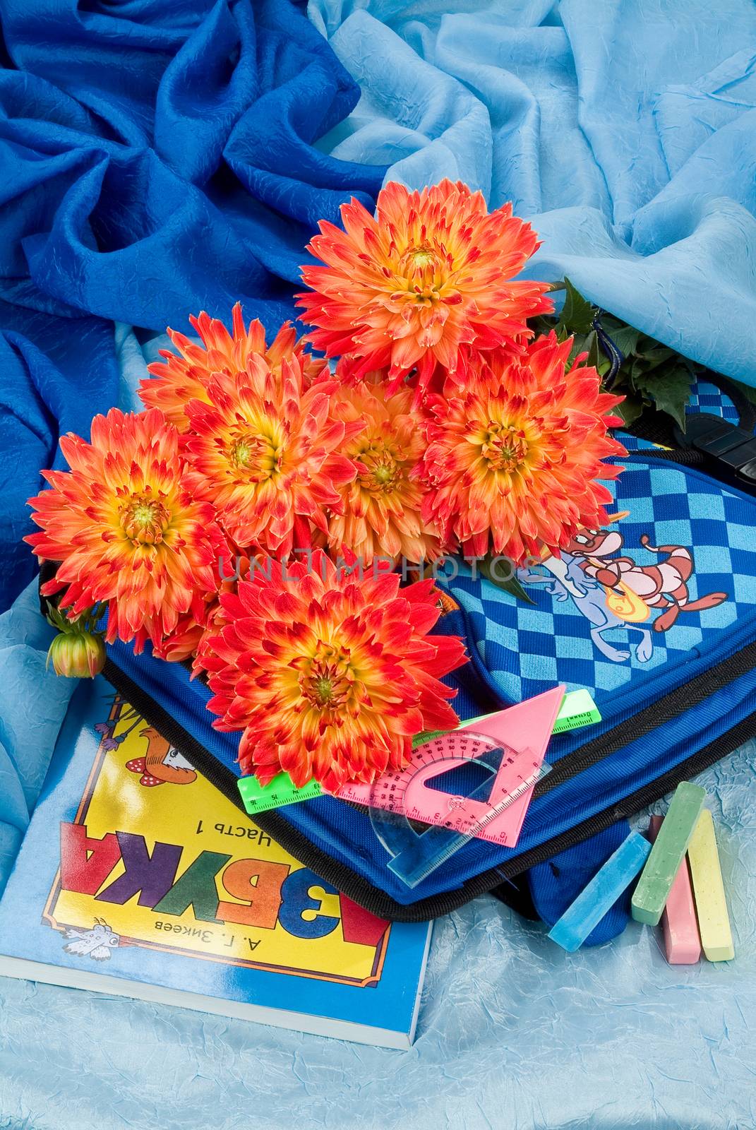 School books and accessories on a studio background