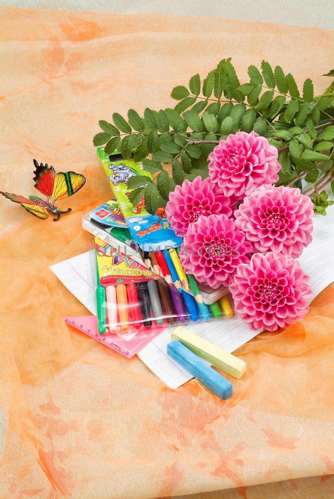 School books and accessories on a studio background