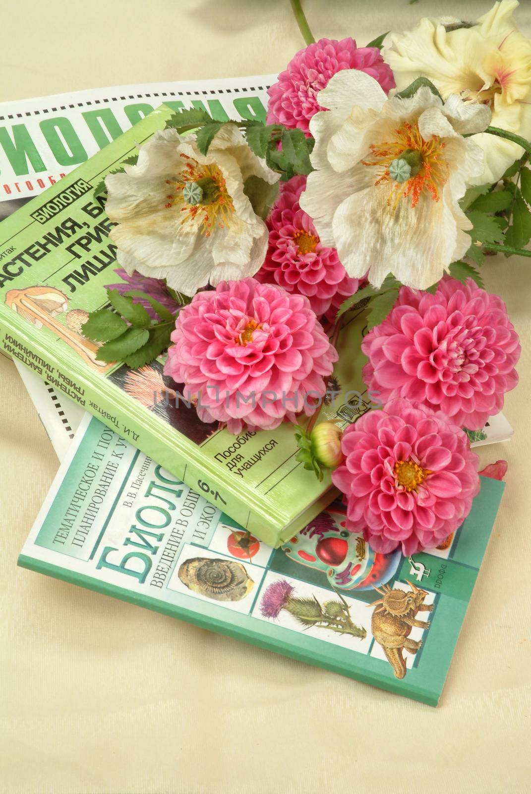 School books and accessories on a studio background