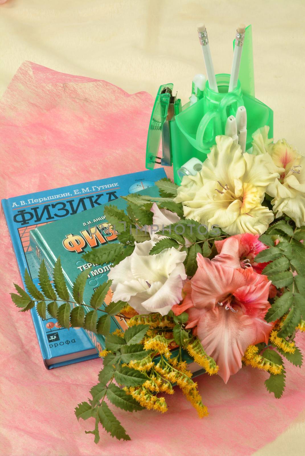 School books and accessories on a studio background