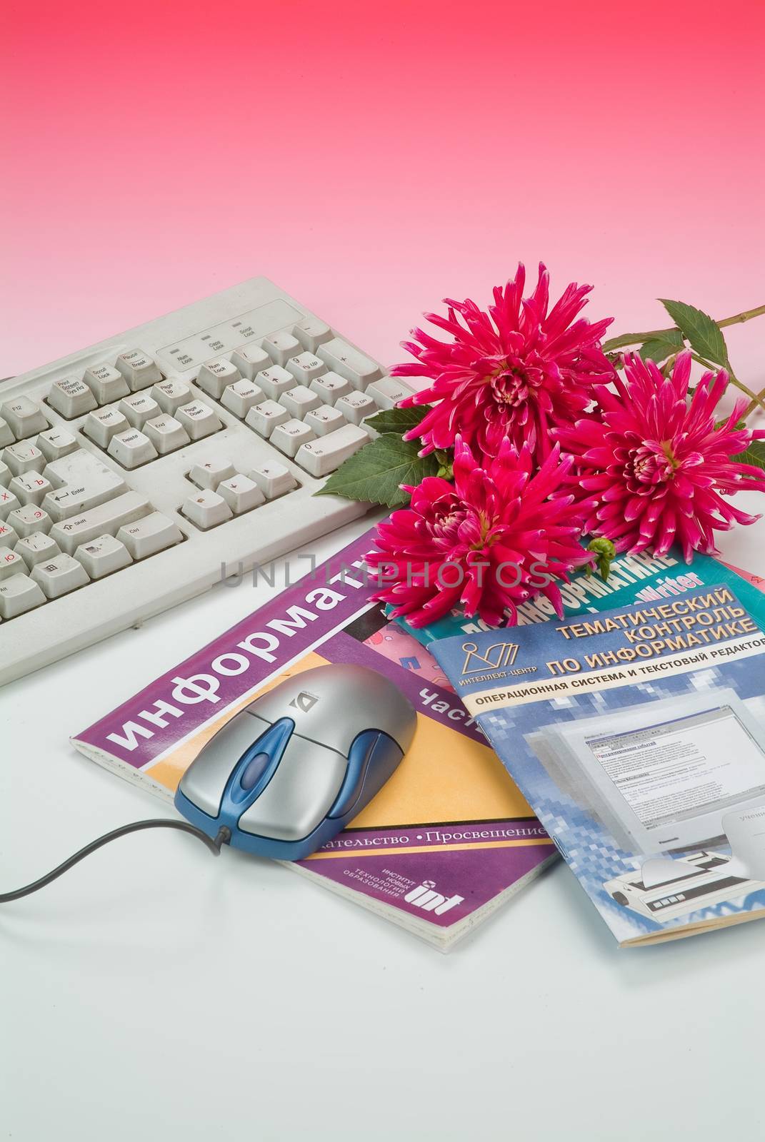 School books and accessories on a studio background