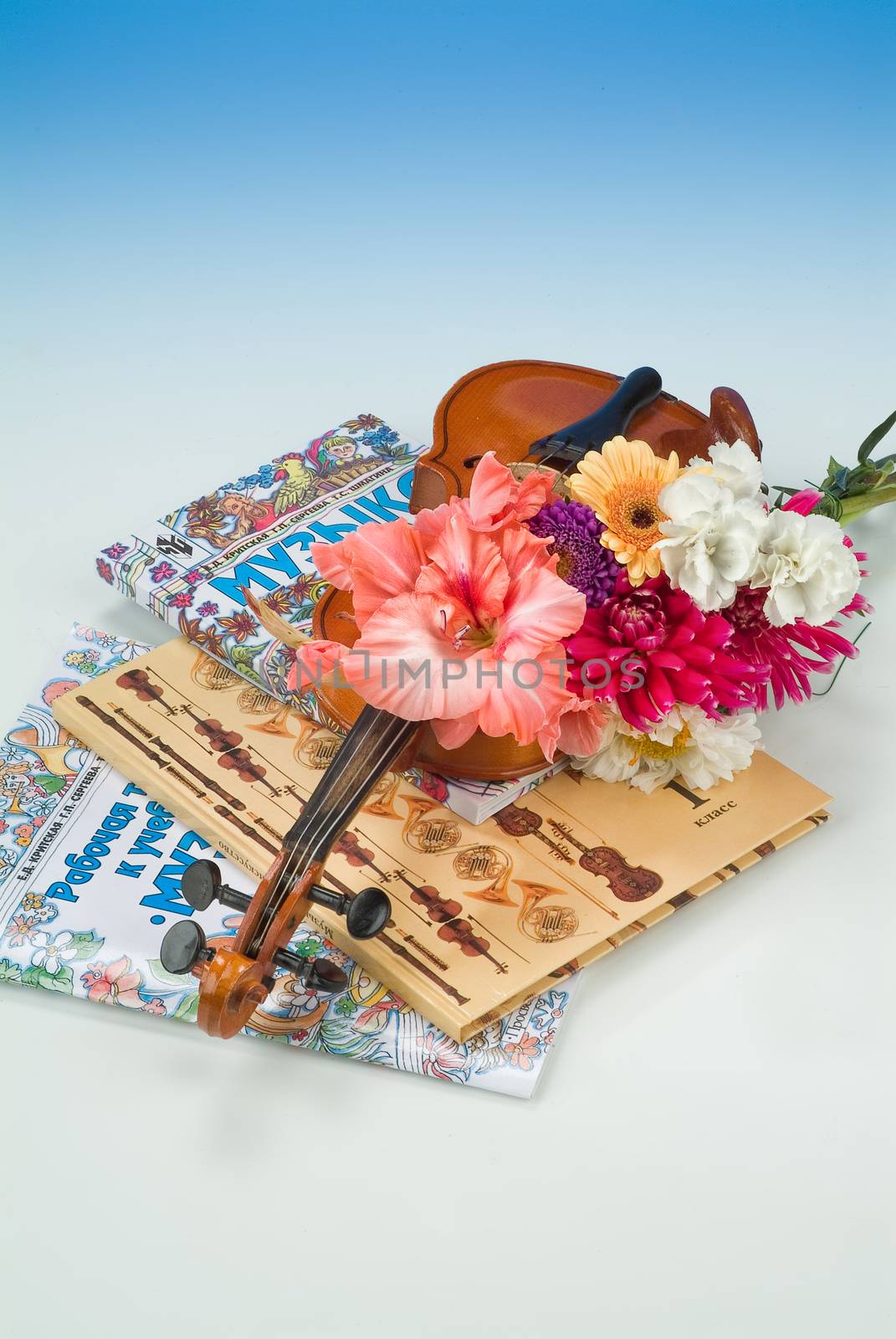 School books and accessories on a studio background