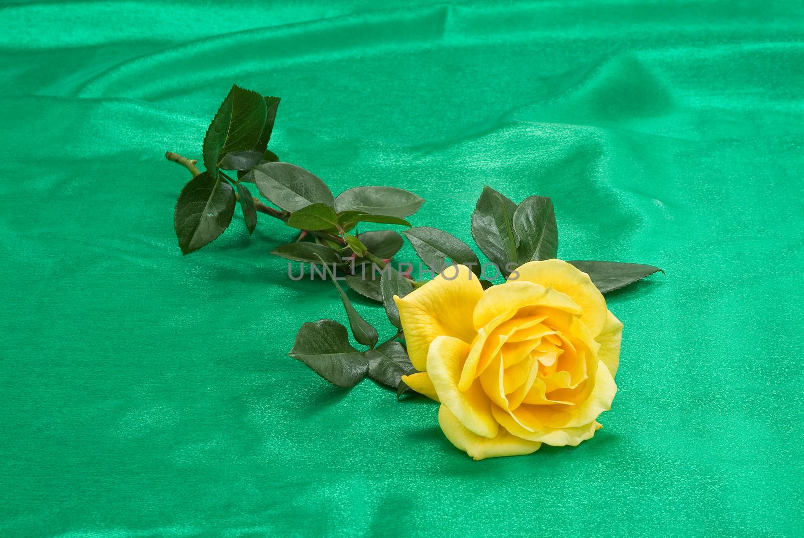 Still life with bouquet of flowers and accessories on a studio background