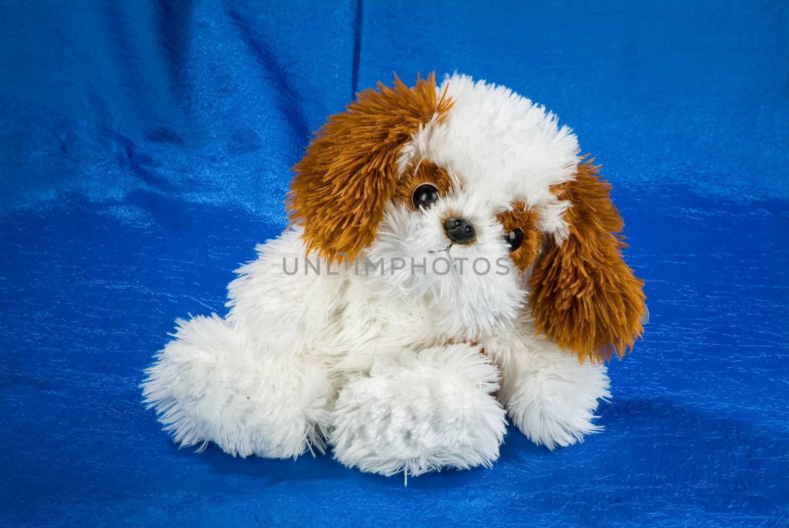 Toy dog on a fabricstudio background