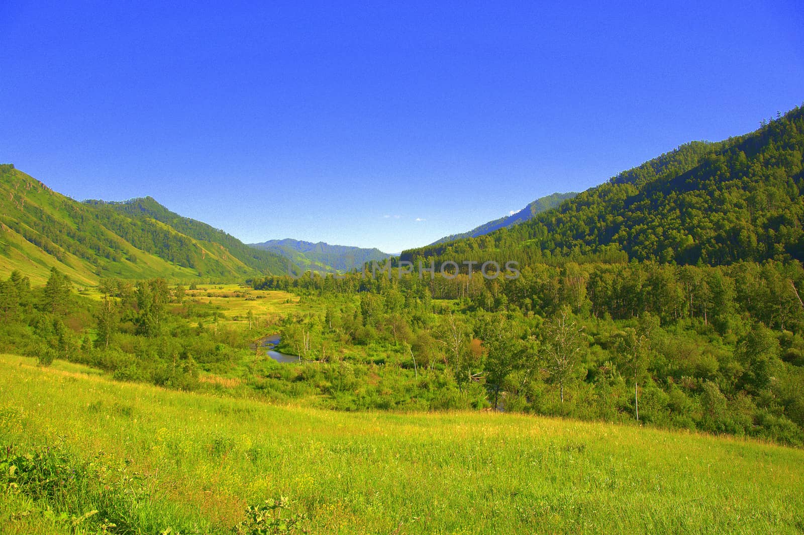 Fertile green valley at the foot of the mountain ranges. Altai, Siberia, Russia.
