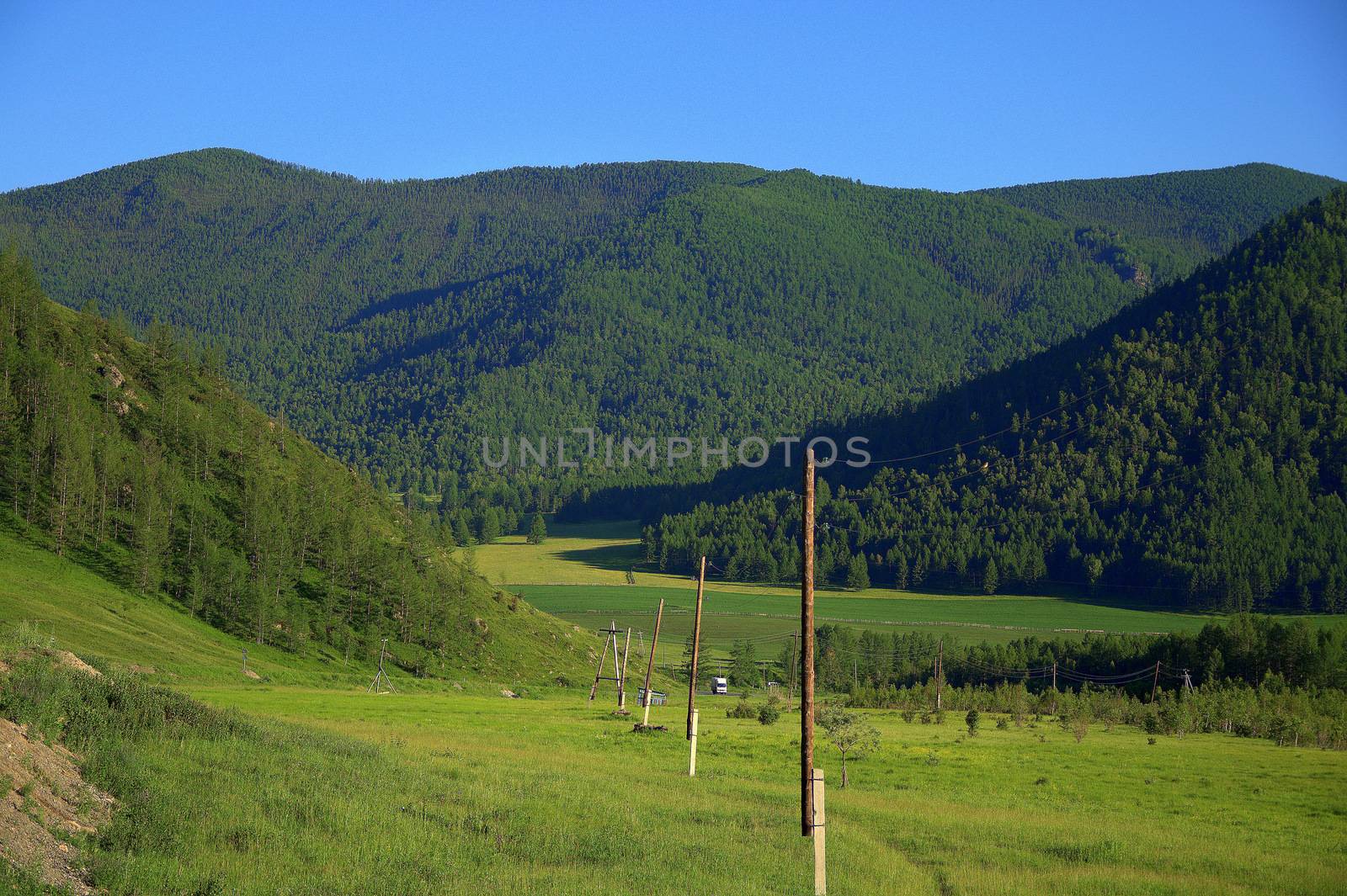 Wooden poles of the power line going through a fertile valley surrounded by mountains. Altai Siberia Russia.